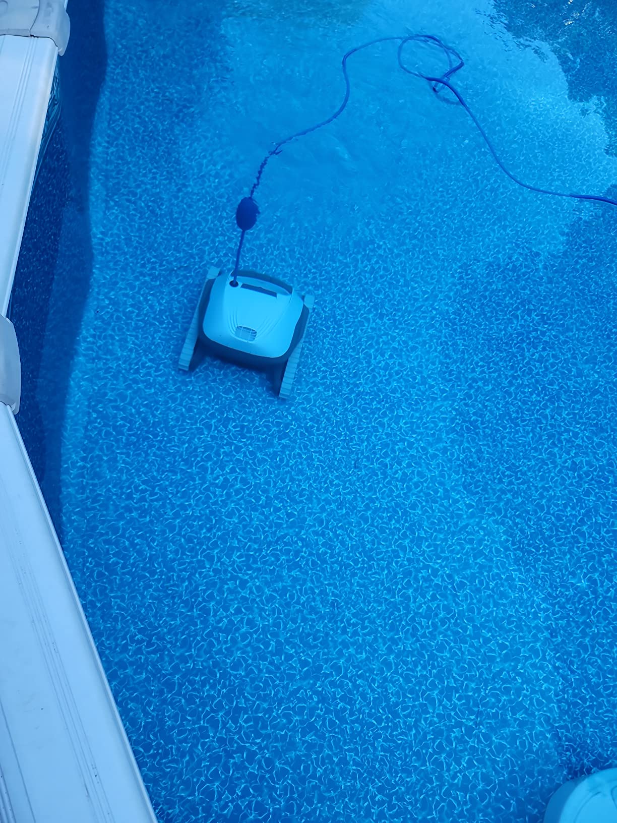 Dolphin (2026 Model) Nautilus AG Automatic Robotic Pool Vacuum Cleaner, Active Scrubber Brush, Top Load Filters Access, Ideal for Above-Ground Pools up to 33 FT in Length customer photo 1