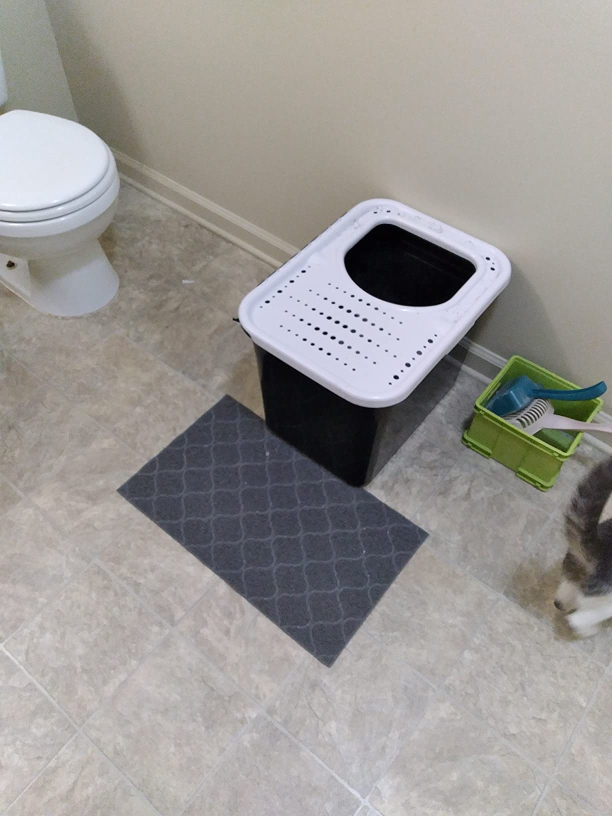 Arm & Hammer Premium Top Entry Litter Box with Filter to Clean Paws and Microban, Made in USA customer photo 1