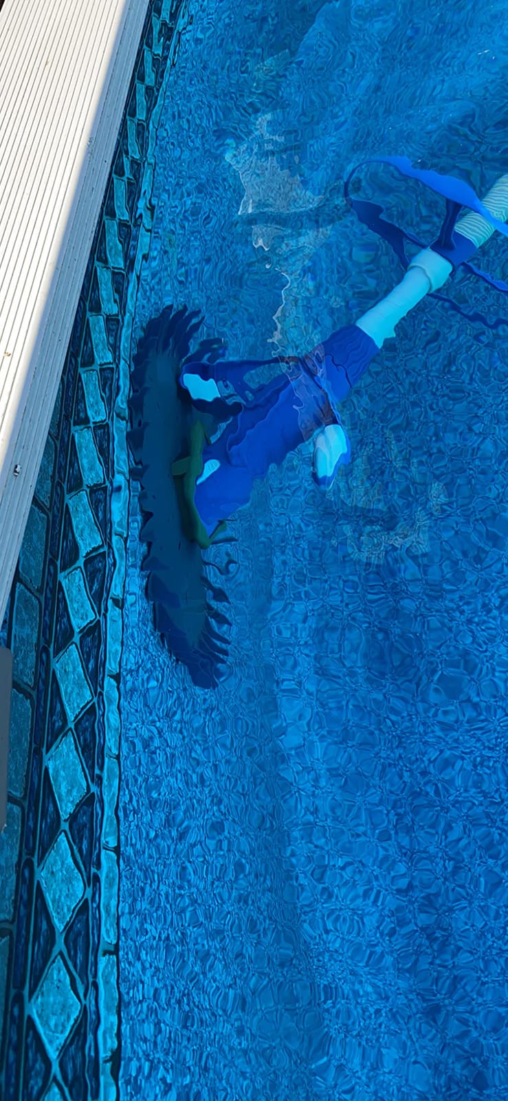 U.S. Pool Supply Professional Suction Pool Cleaner, Inground Automatic Pool customer photo 2