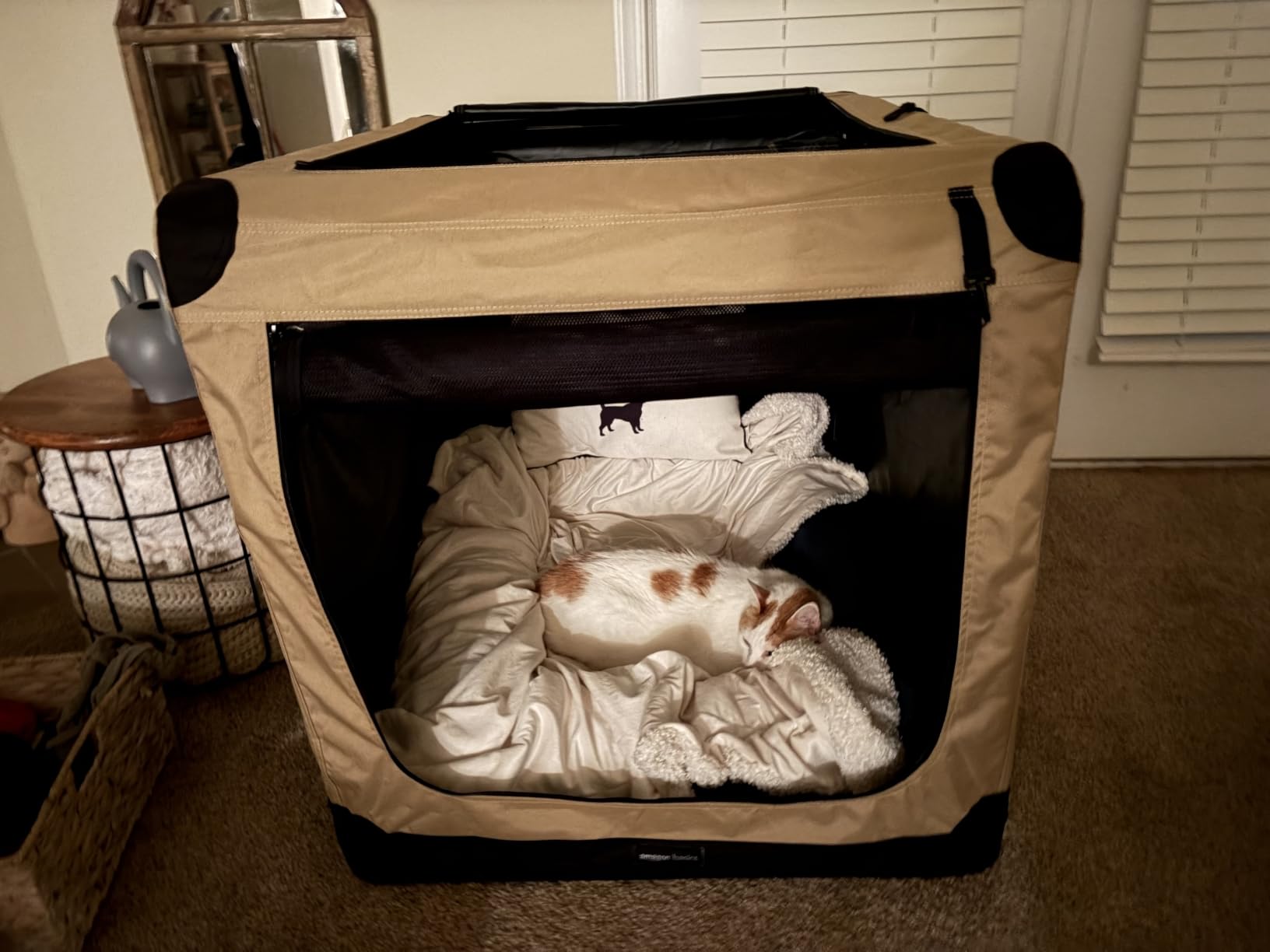 Amazon Basics Portable Folding Soft Dog Crate for Cat, Dog, Rabbit, Double Door with Mesh Ventilation, Collapsible, Easy to Set Up, Large 36