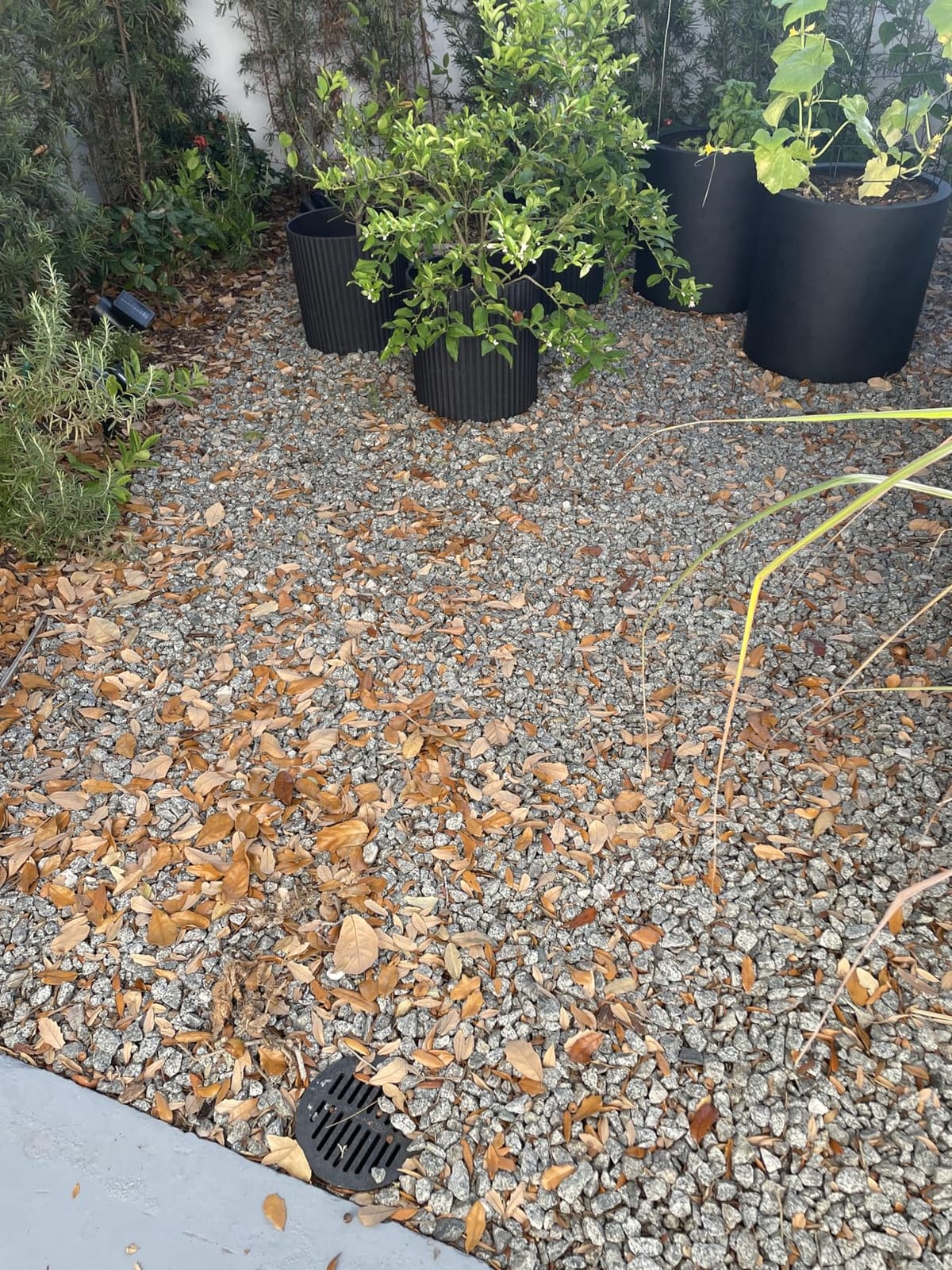 BLACK+DECKER Leaf Blower, Leaf Vacuum and Mulcher 3 in 1, Backpack Blowers for Lawn Care,250 mph Airflow, 400 cfm Delivery Power, Reusable Bag Included, Corded (BEBL7000) customer photo 1