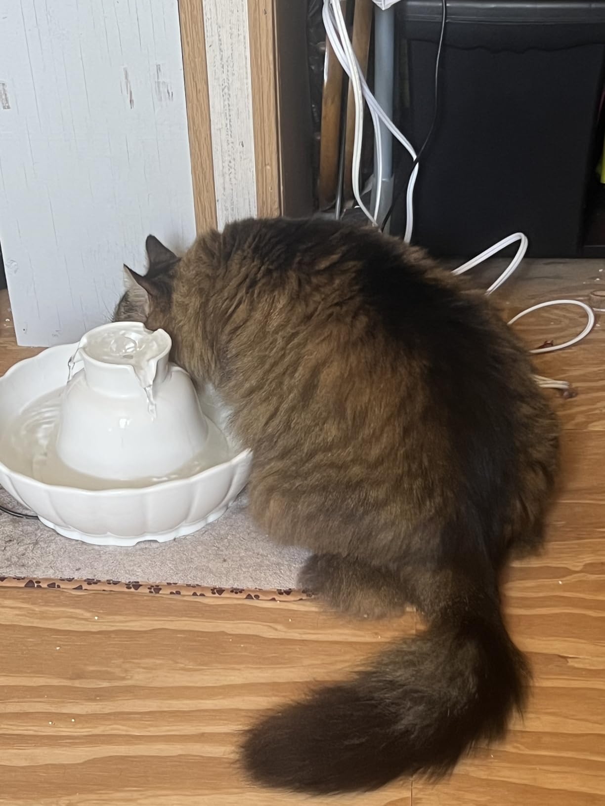 iPettie Tritone Ceramic Cat Water Fountain, Heavy-Duty Waterer for Pets customer photo 1