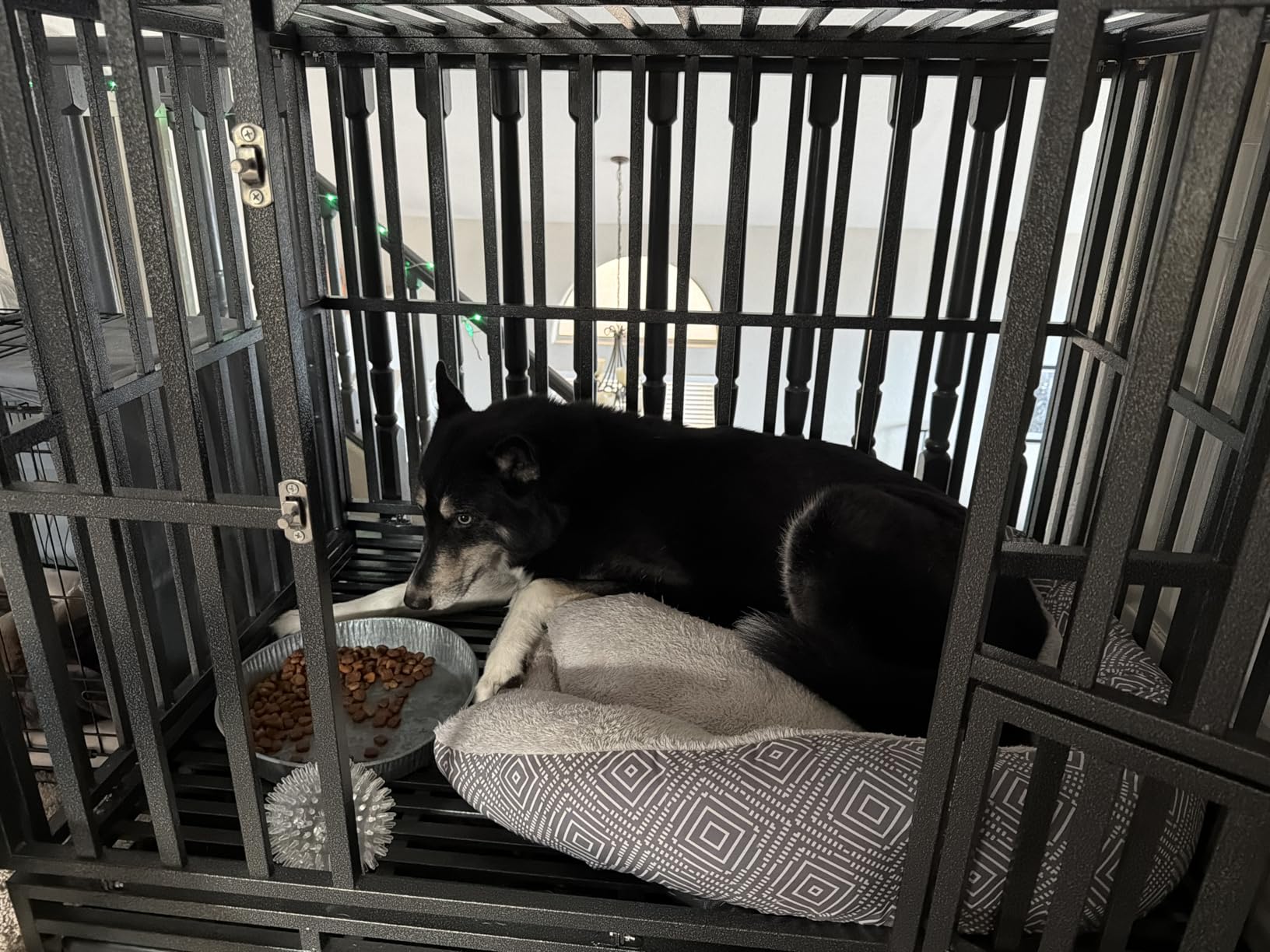 LUCKUP Heavy Duty Dog Cage Metal Kennel and Crate for Medium and Large Dogs, Pet Playpen with Four Wheels,Easy to Install,42 inch,Black customer photo 1