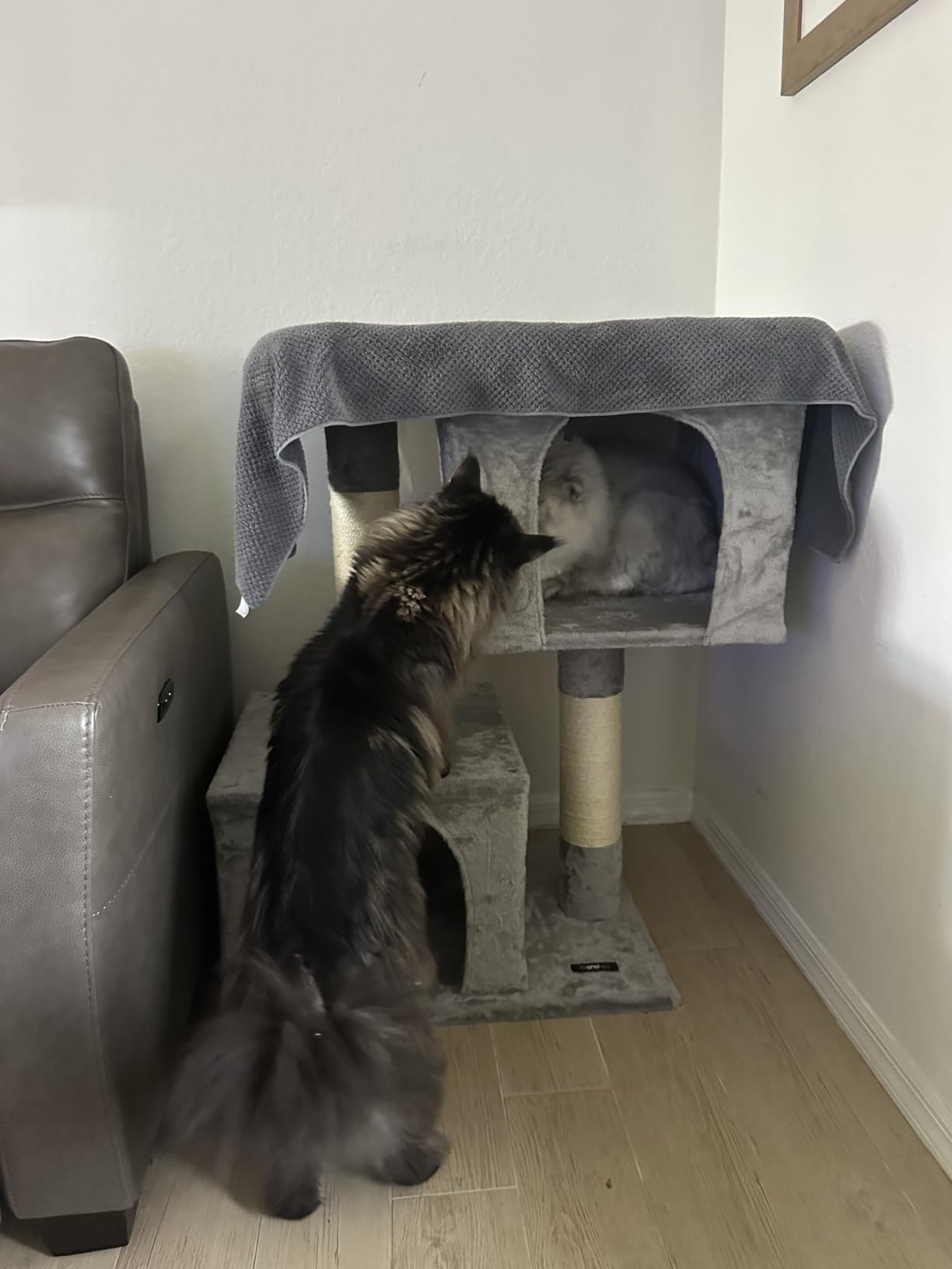 Feandrea Cat Tree, 33.1-Inch Cute Cat Tower, Plush Kitten Condo, Light Gray customer photo 1