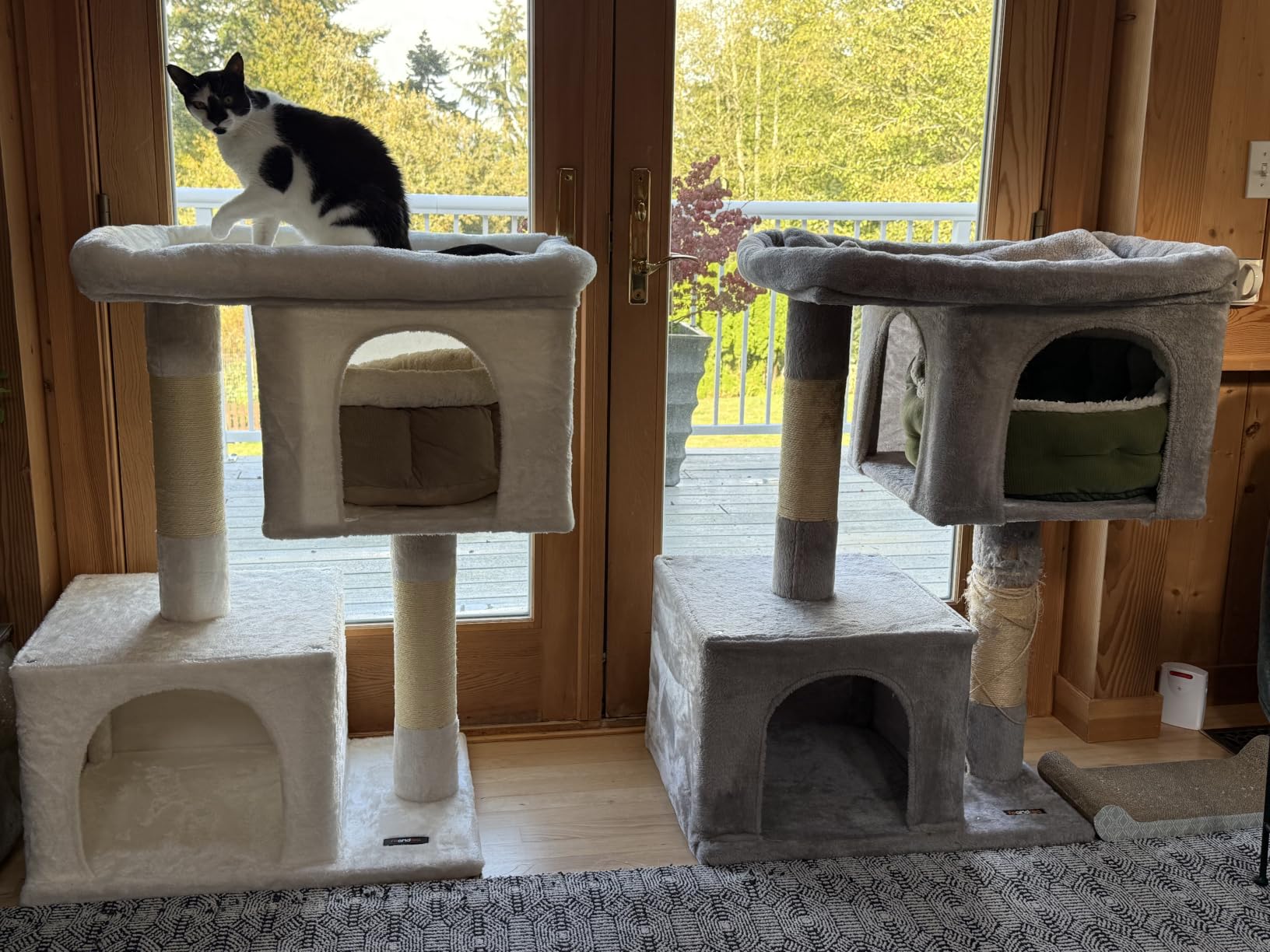 Feandrea Cat Tree, 33.1-Inch Cute Cat Tower, Plush Kitten Condo, Light Gray customer photo 2