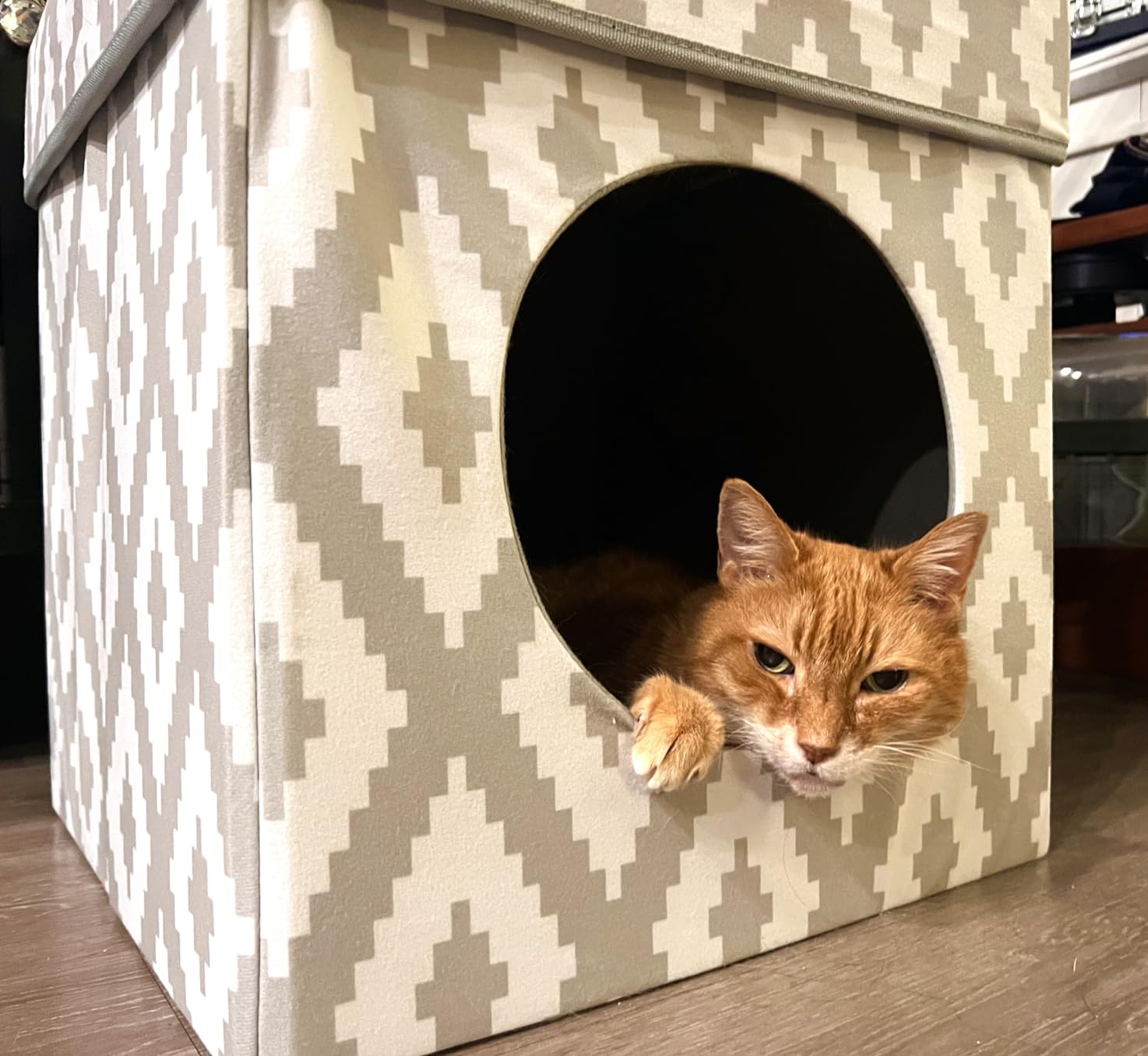 Kitty City Indoor Cat Cube Furniture, White Cube customer photo 2