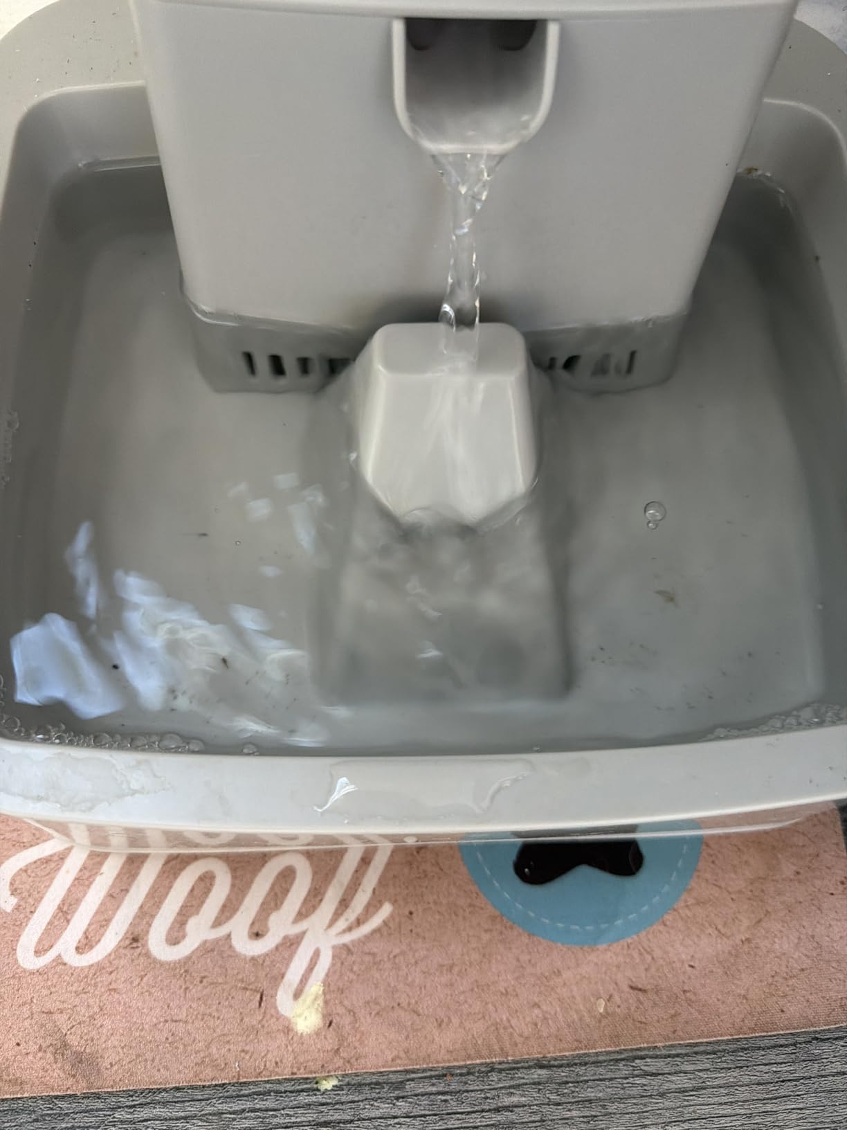 PetSafe Oasys Pet Fountain, 2 Gallon (256 oz), Cats, Dogs & Multi-Pet Homes customer photo 2