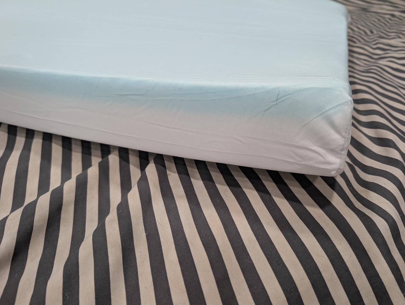 BarkBox Orthopedic Dog Bed - Large customer photo 1