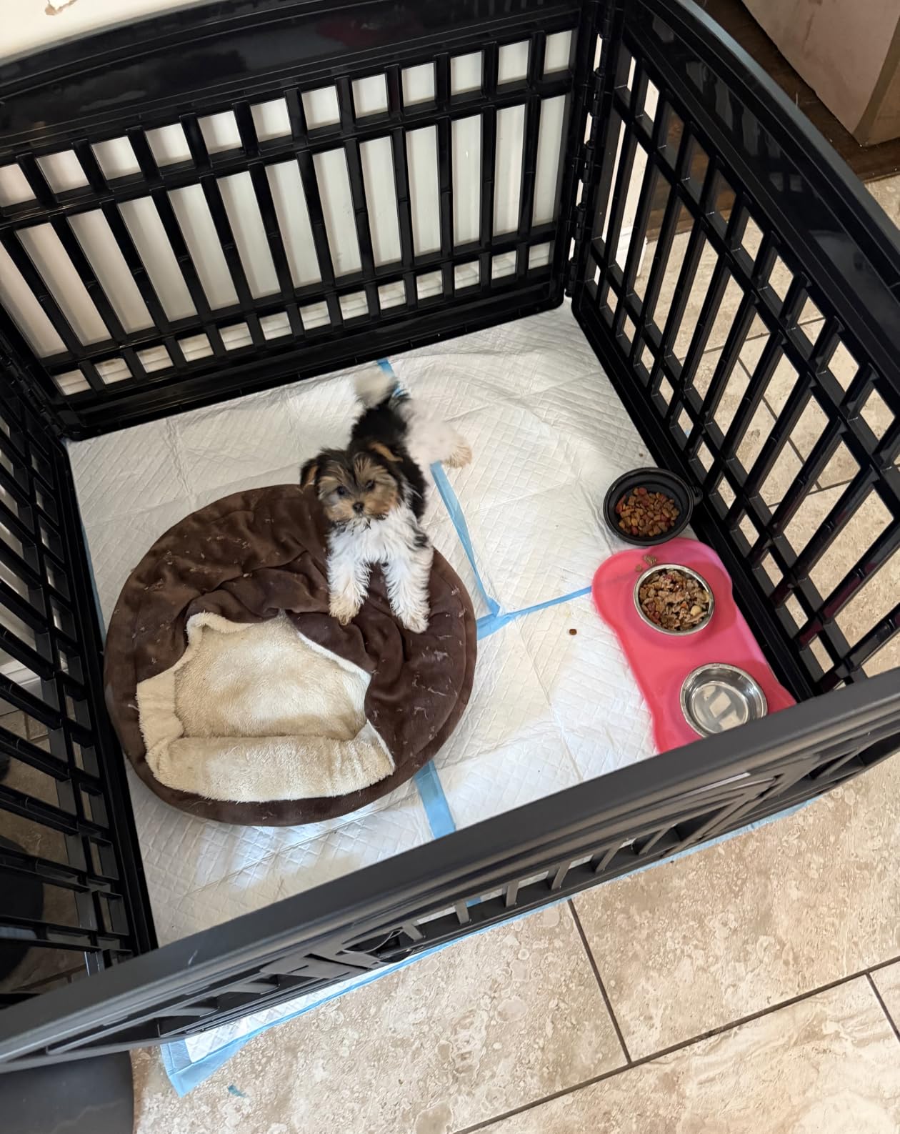 IRIS USA 4-Panel Dog Playpen, Pet Enclosure, White customer photo 1
