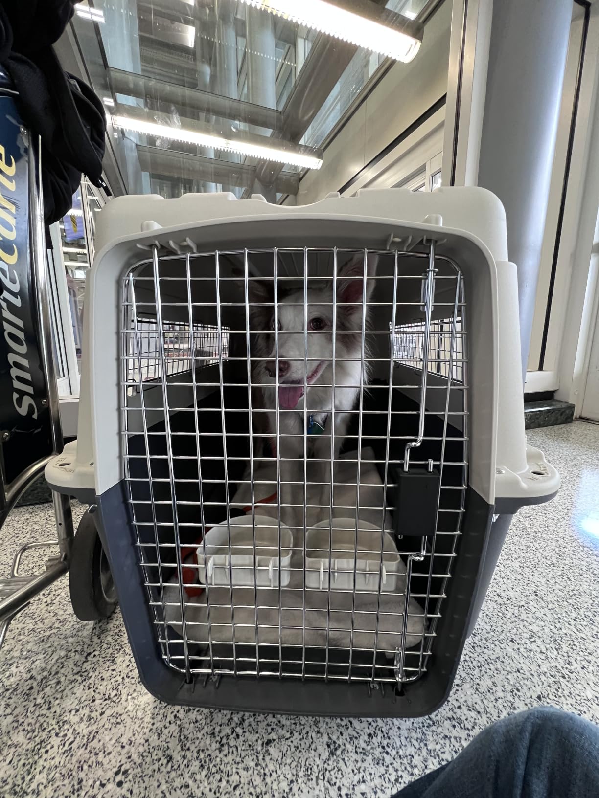 SportPet Airline Compliant MEDIUM 26.5