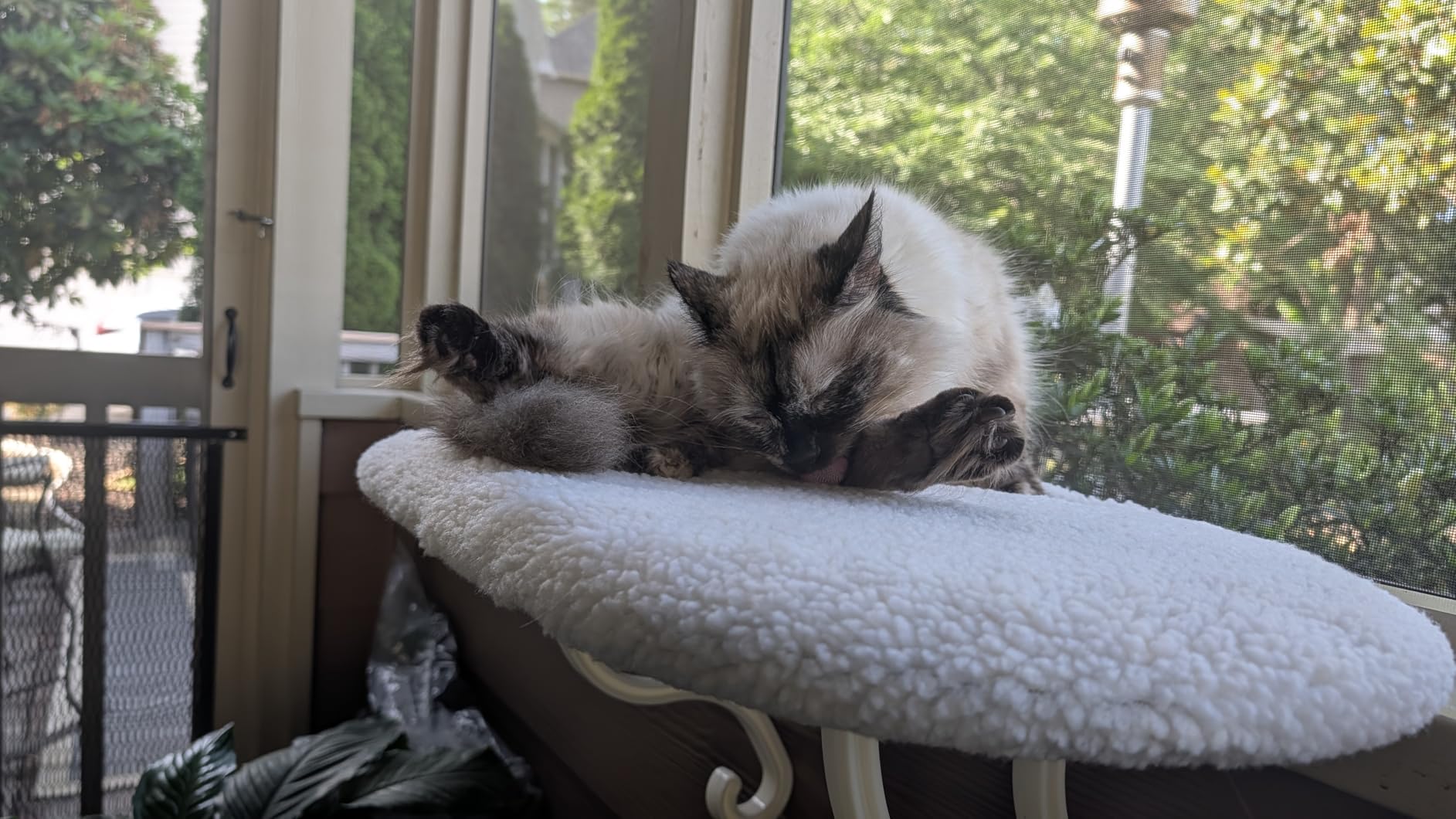 K&H Cat Window Perch, Unheated Kitty Sill, 24x14in, Fleece customer photo 2
