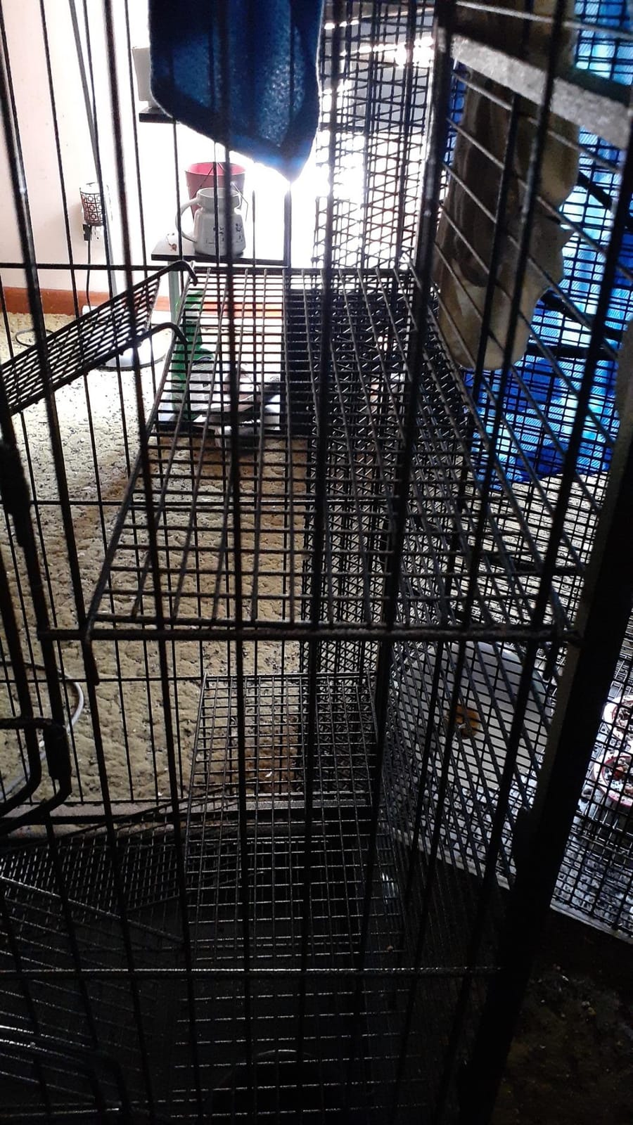 SUPER DEAL 37.2 Inches Metal Ferret Cage Chinchilla 4 Tiers Small Animal Cage with 3 Ladders/ 2 Front Doors/Food Bowl/Water Bottle/Slide Out Trays/Swivel Casters,Black customer photo 2