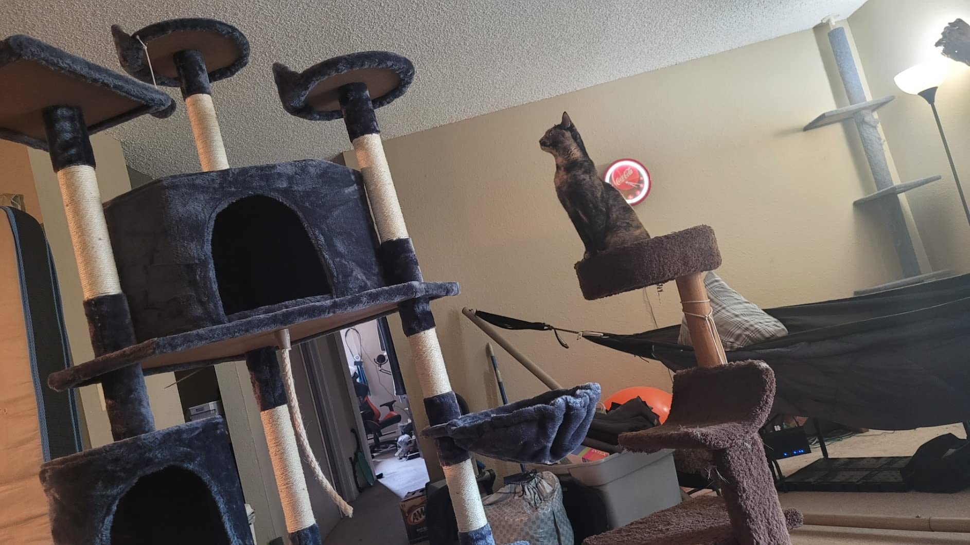 Yaheetech 79in Multi-Level Cat Tree for Multiple Cats with 9 sisal Posts customer photo 1