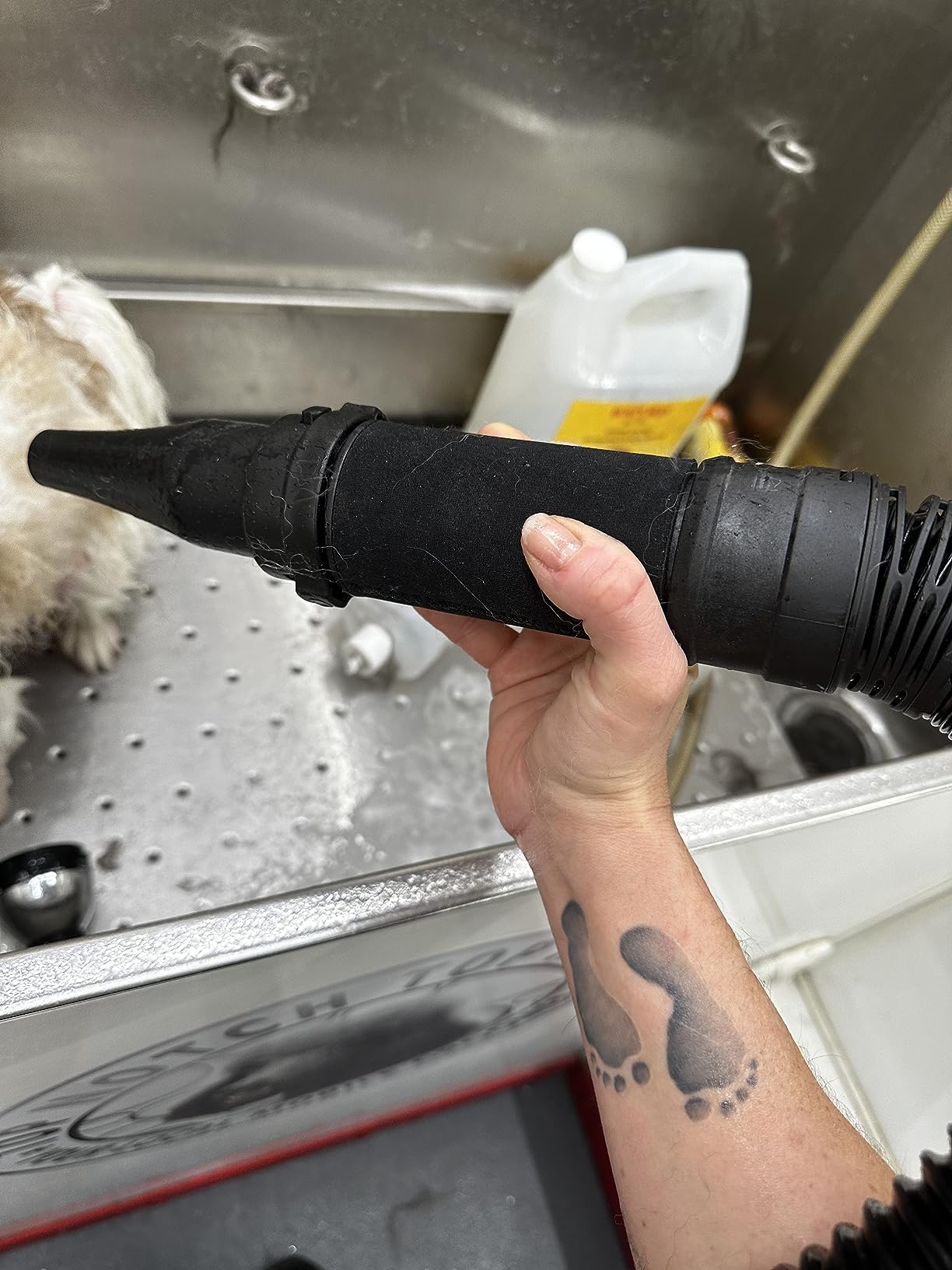 Dual Motor High Velocity Pet Dog Grooming Force Hair Dryer/Blower 6.0HP customer photo 2