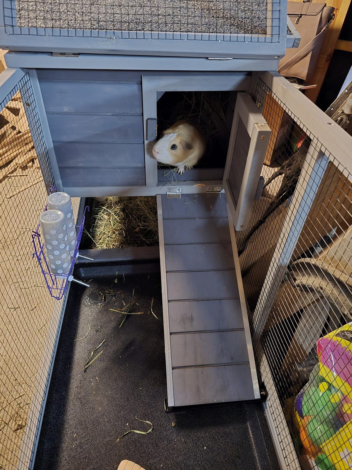 Aivituvin Rabbit Hutch Outdoor Indoor Rabbit Cage Chikcen Coop with Casters Guinea Pig Cage with 3 Deep No Leakage Pull Out Tray,Waterproof Roof customer photo 2
