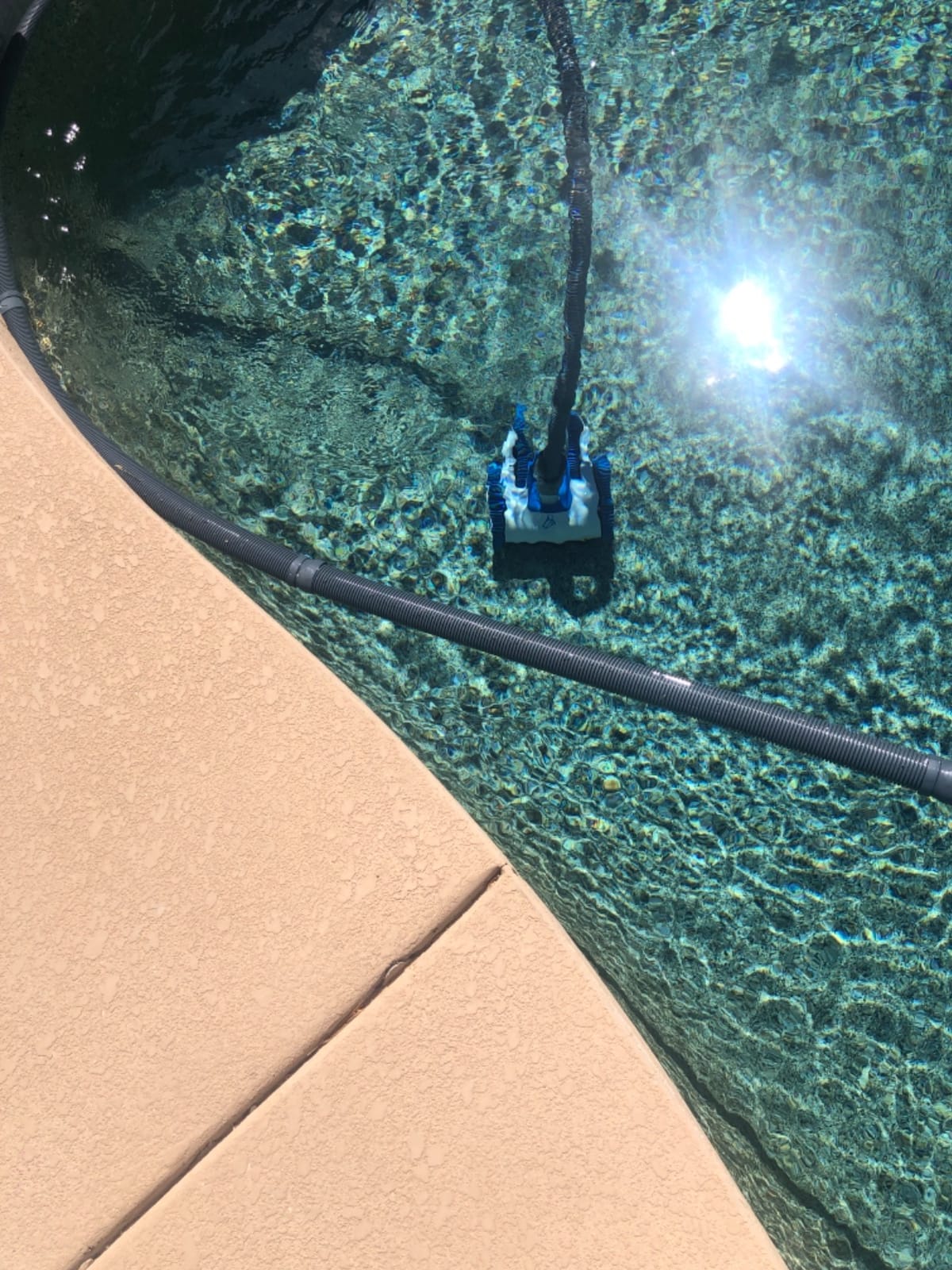 Hayward AquaNaut 400 Suction Pool Cleaner, Automatic Pool Vacuum (4 Wheel) customer photo 1