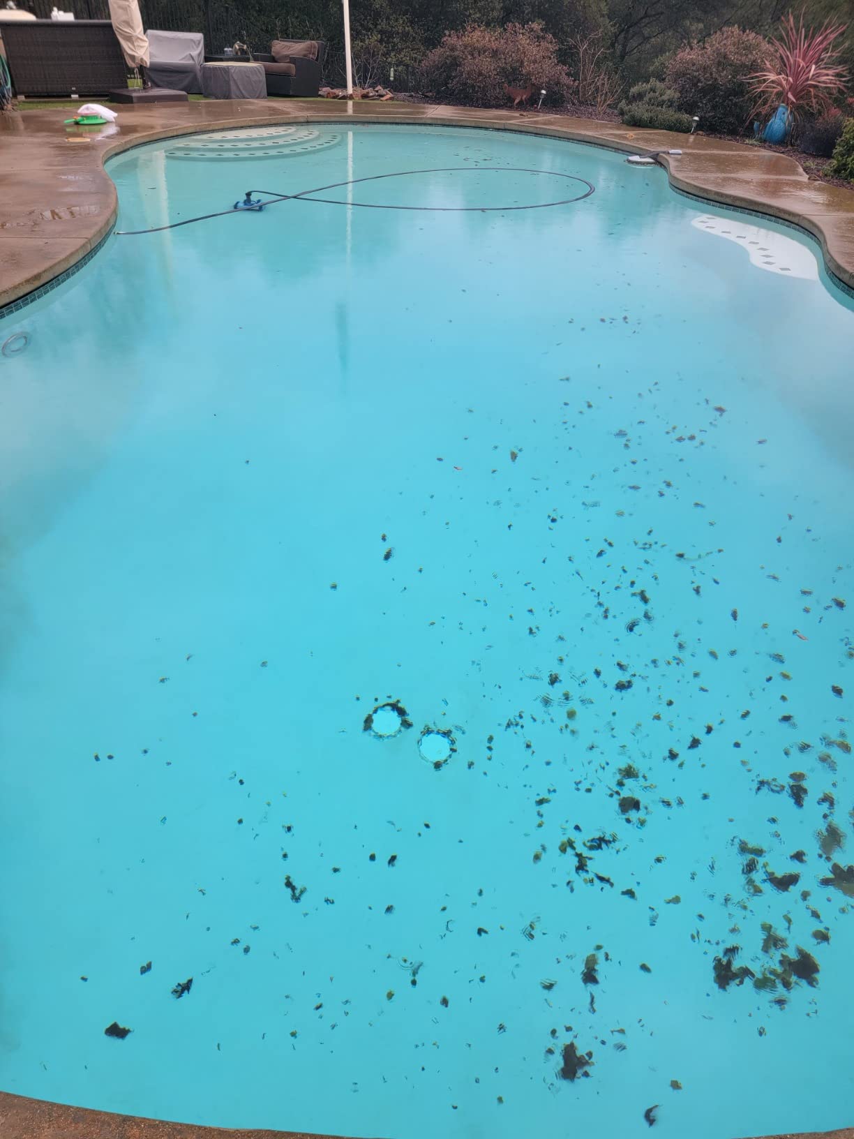 Hayward AquaNaut 400 Suction Pool Cleaner, Automatic Pool Vacuum (4 Wheel) customer photo 2