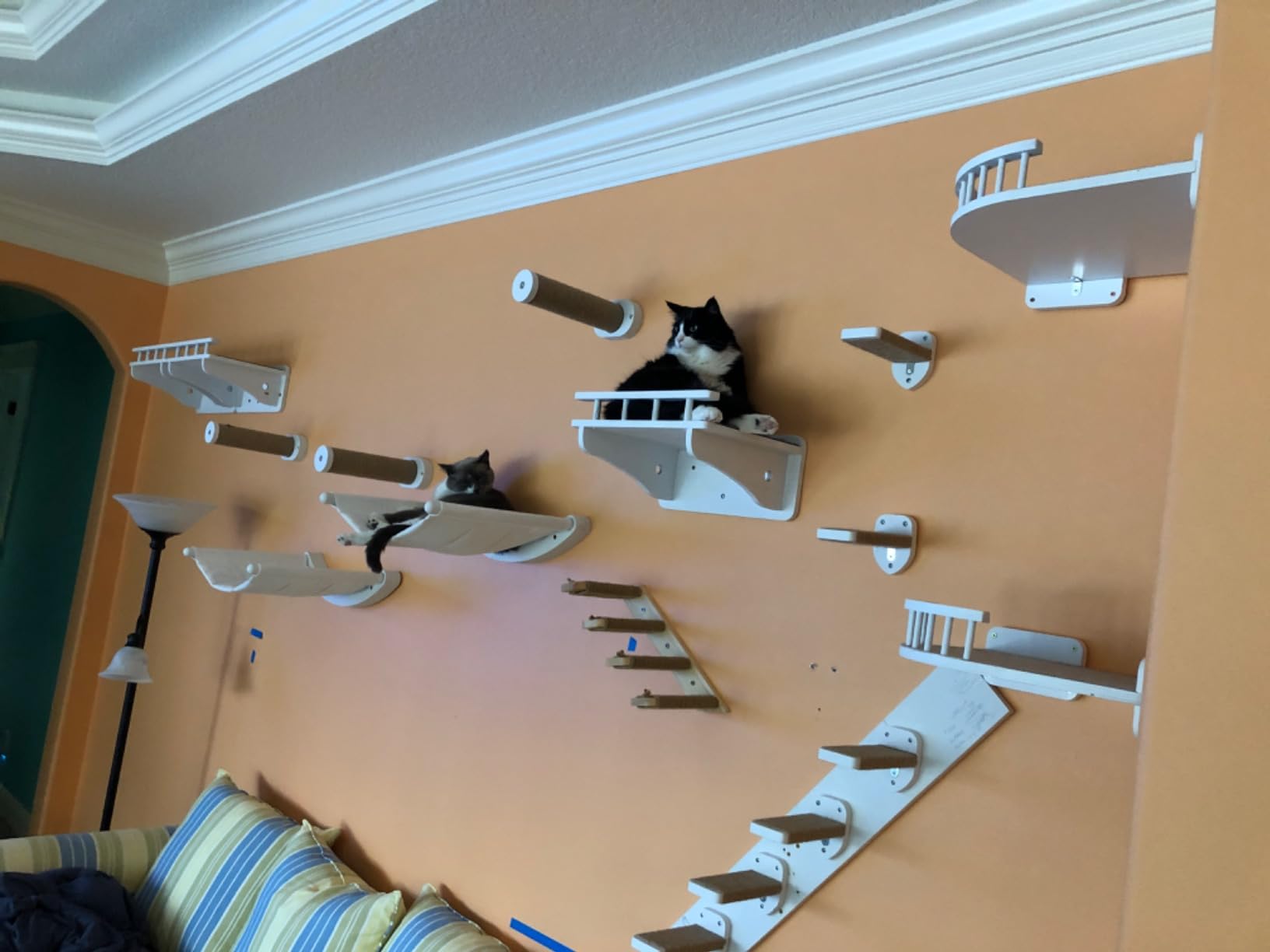 7 Ruby Road Cat Wall Hammock with 2 Steps for Large Cats customer photo 1