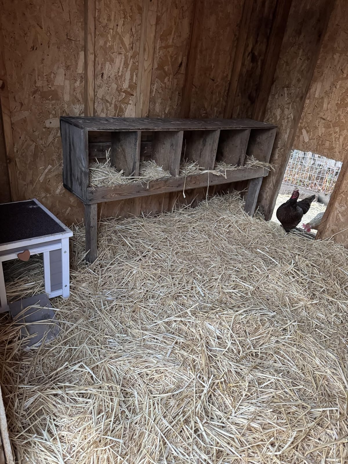 Rockever Outdoor Cat House, Rabbit Hutch Outdoor Indoor Bunny Cage customer photo 2