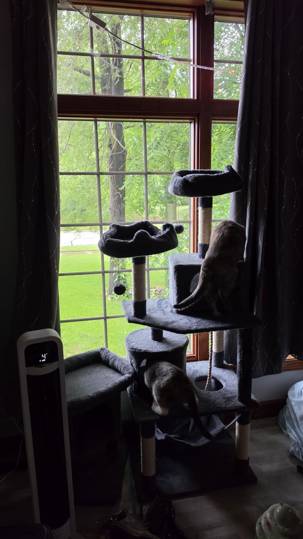 Yaheetech 62.5in Tall Cat Tree w/2 Cat-Ear Perches & 2 Condos, Dark Gray customer photo 1