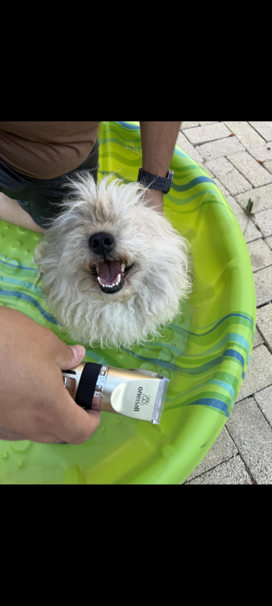 oneisall Dog Grooming Clippers with LED Display for Dogs & Cats customer photo 1