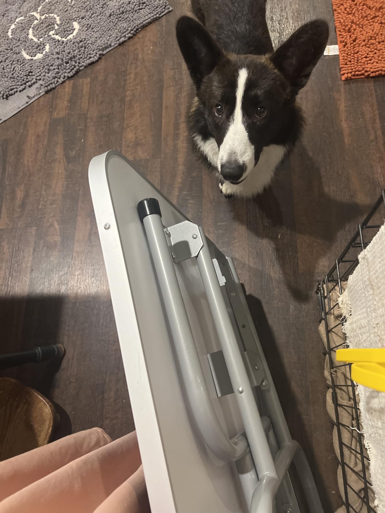 Yaheetech 46'' Dog Grooming Table for Large Medium Dogs at Home, Black customer photo 2