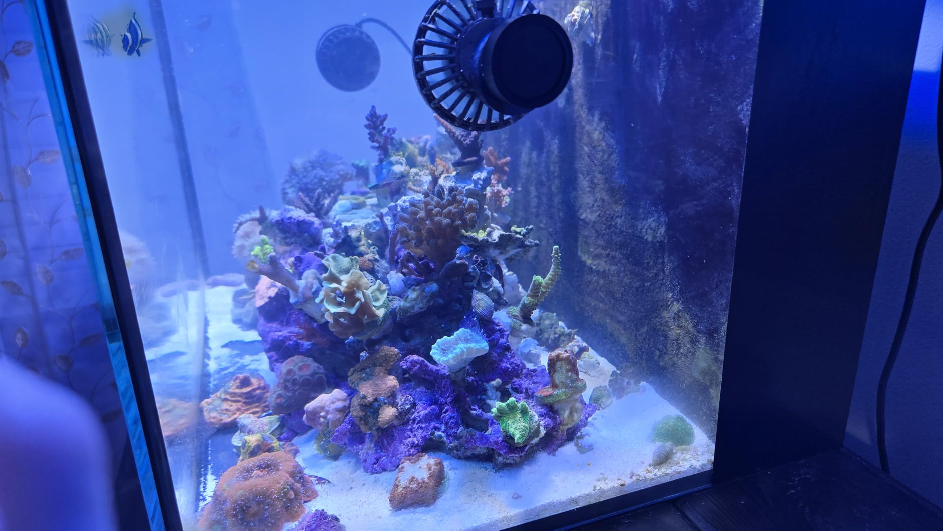 Jebao SLW-10 Aquarium Wavemaker, 1,065 GPH customer photo 1