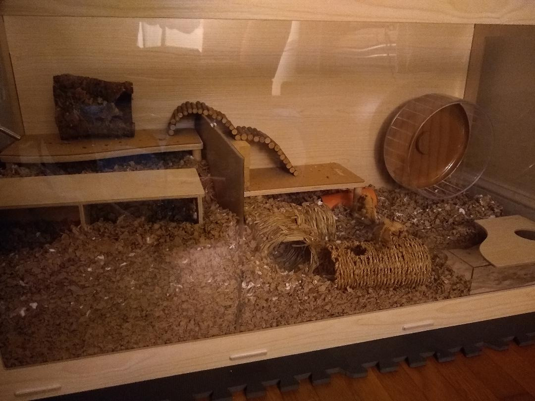 Niteangel Bigger World - MDF Aspen Terrarium for Hamster Gerbils Mice Lemming Degus or Other Small-Sized Pets(39.4 x 19.7 x 19.7 inches, Burlywood) customer photo 2