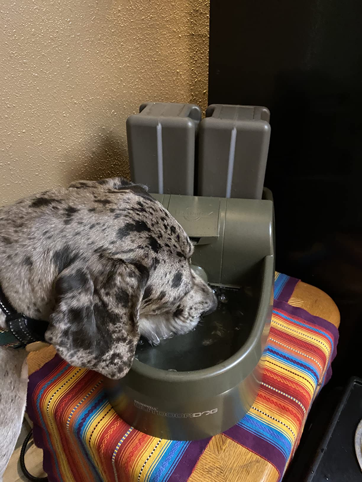 PetSafe Drinkwell Outdoor Dog Water Fountain, 2 Reservoirs, 450 oz, Taupe customer photo 1