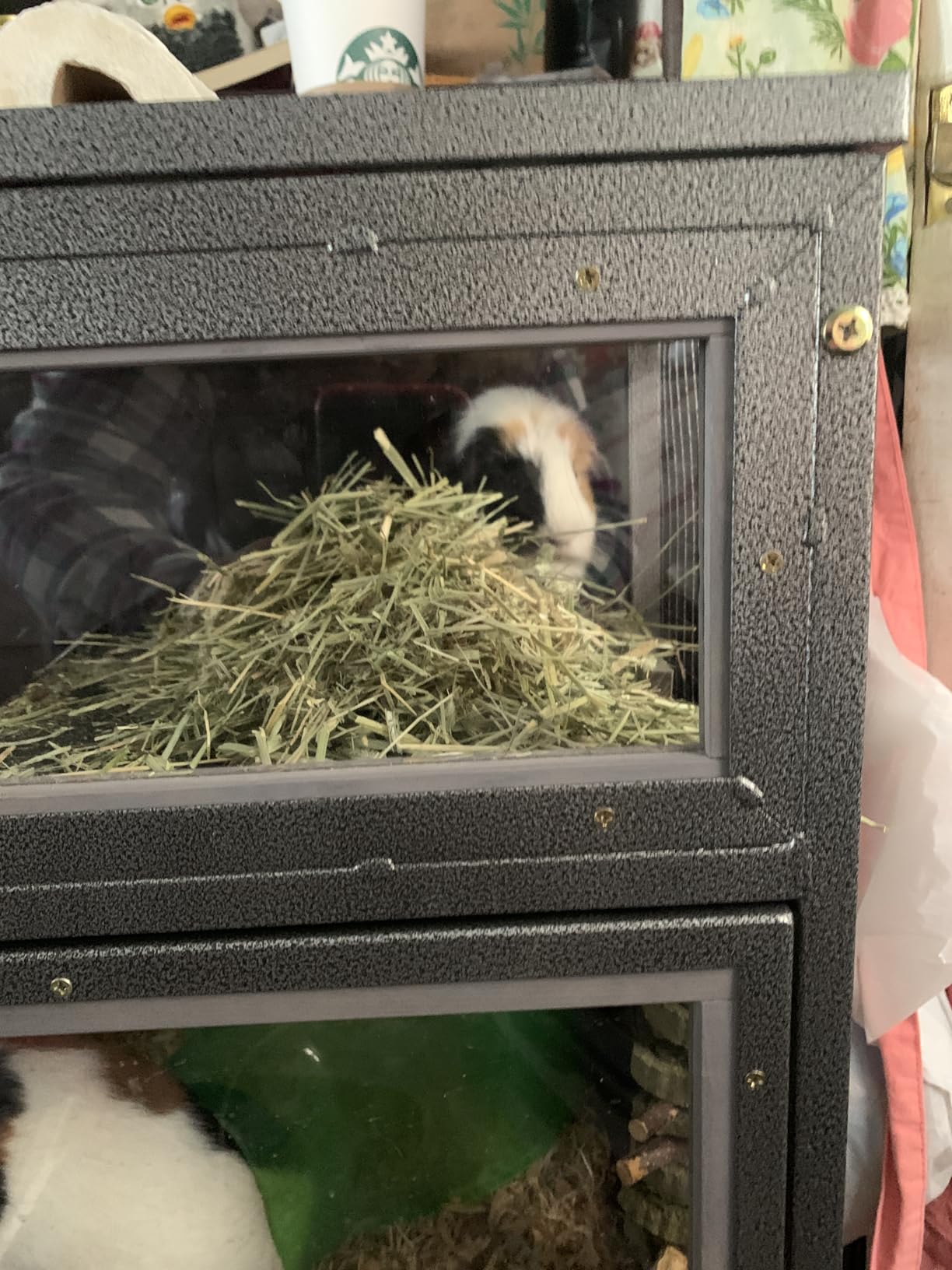 Hamster Cage Large Guinea Pig Cage with Metal Frame Movable Rat Habitat with Aluminium Alloy Edge,Plastic Deep Not Leakage Pull Out Tray,Storage Shelf customer photo 2