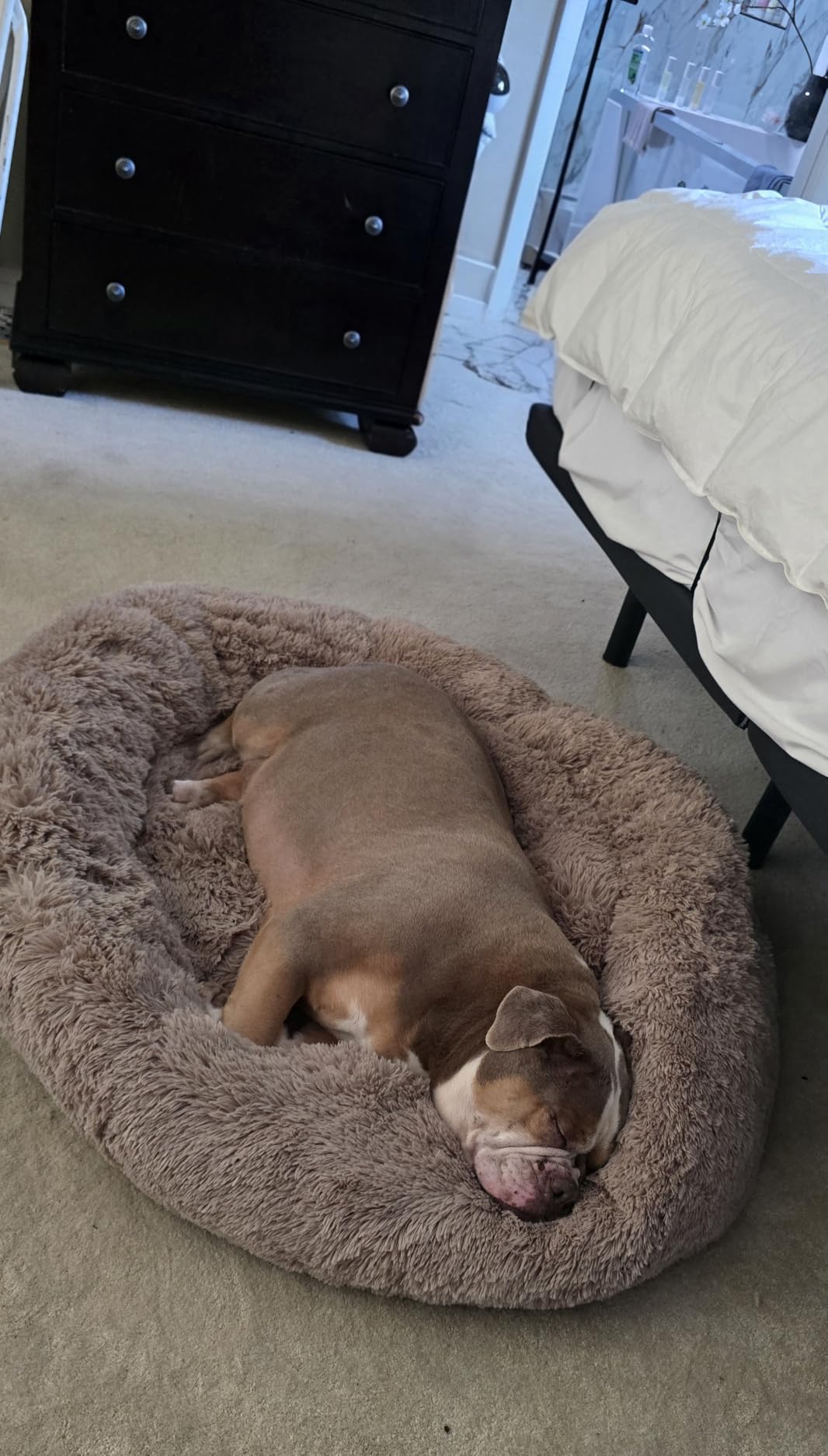Bedsure Calming Dog Bed Medium Size Dog Donut Washable Pet Bed,30ins Camel customer photo 2