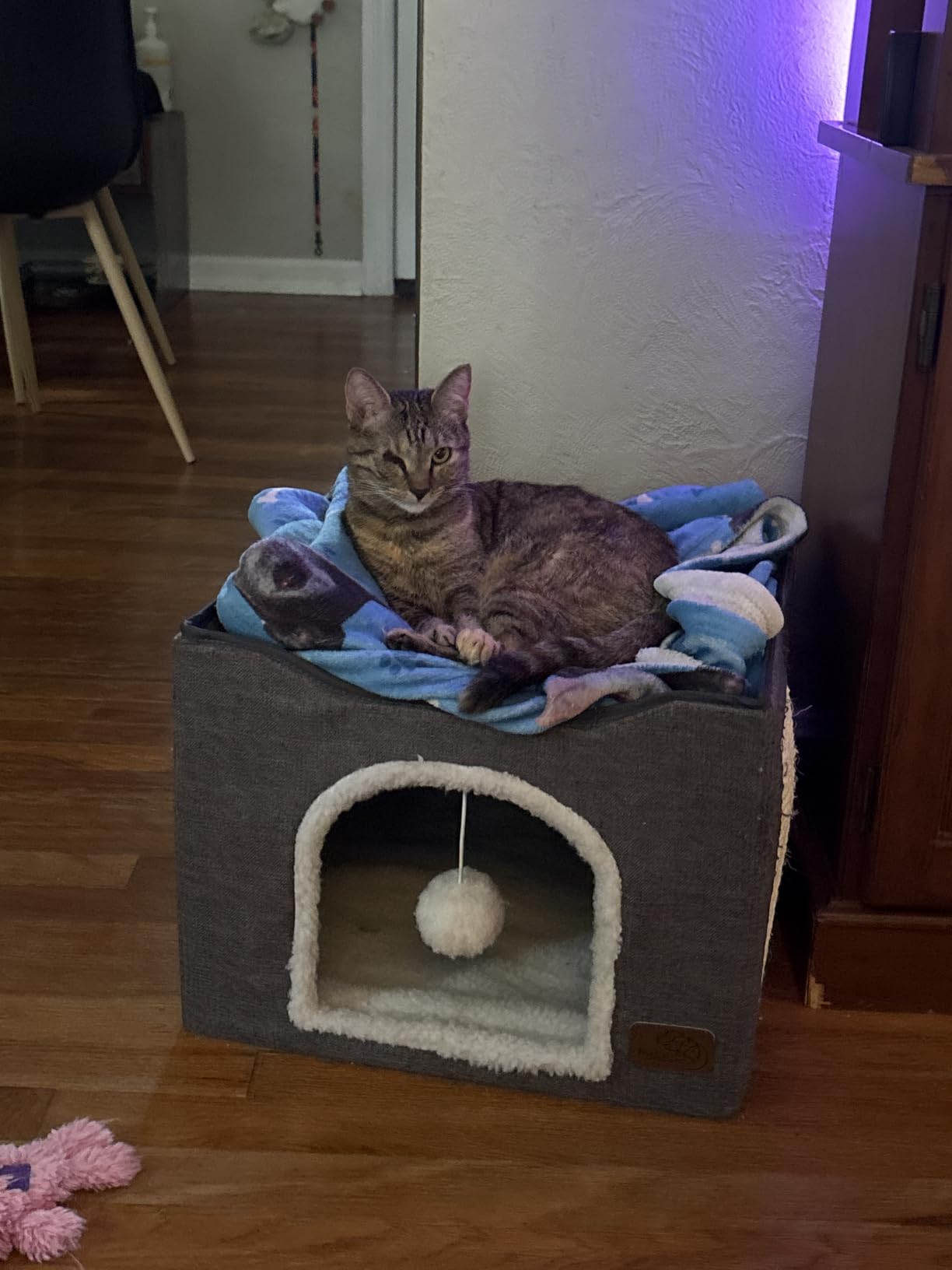 Bedsure Cat House Bed for Indoor Cats with Fluffy Ball and Scratch Pad,Grey customer photo 1