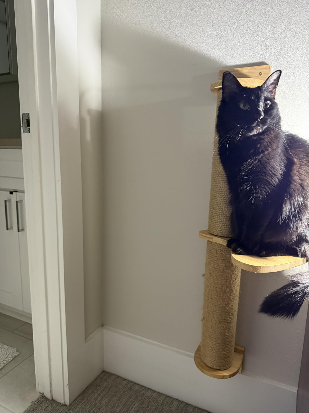 FUKUMARU Cat Activity Tree with Scratching Posts, Wall Mounted Jute Scratcher Pine Hammock customer photo 1