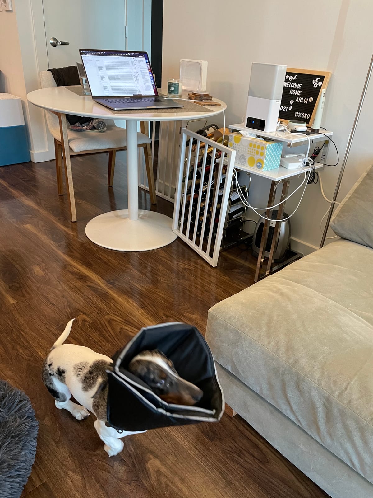 Petcube Bites 2 Lite - WiFi Pet Camera with Treat Dispenser & App customer photo 1