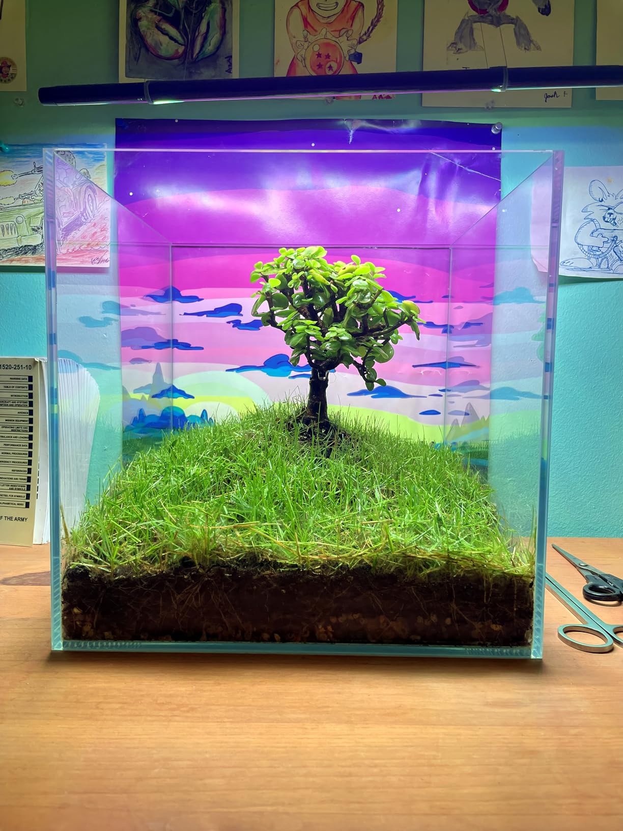 Nano Tall Rimless Aquarium Low Iron Frameless Fish Tank, Extra Clear with Floating Air Style, for Aquariums or Terrariums customer photo 1
