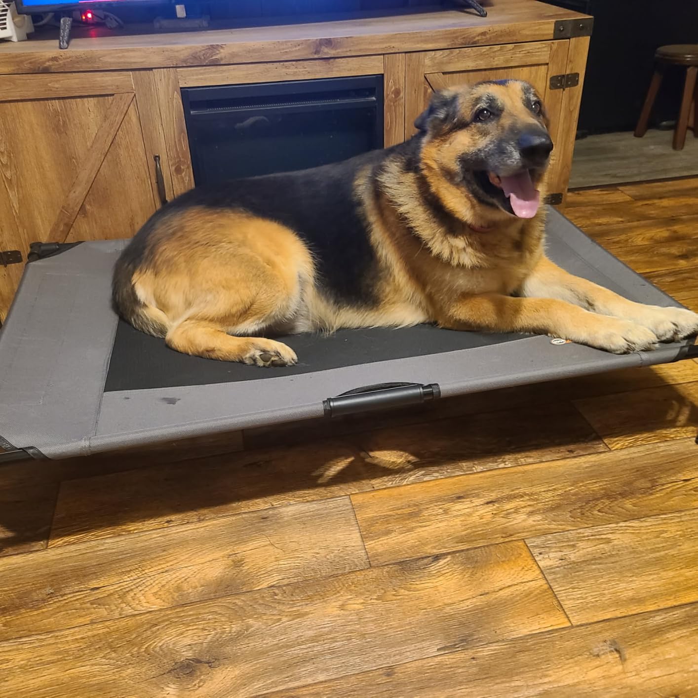 K&H Outdoor Elevated Dog Bed for Large & Extra-Large Pets, Tan, XL 50x32in customer photo 1