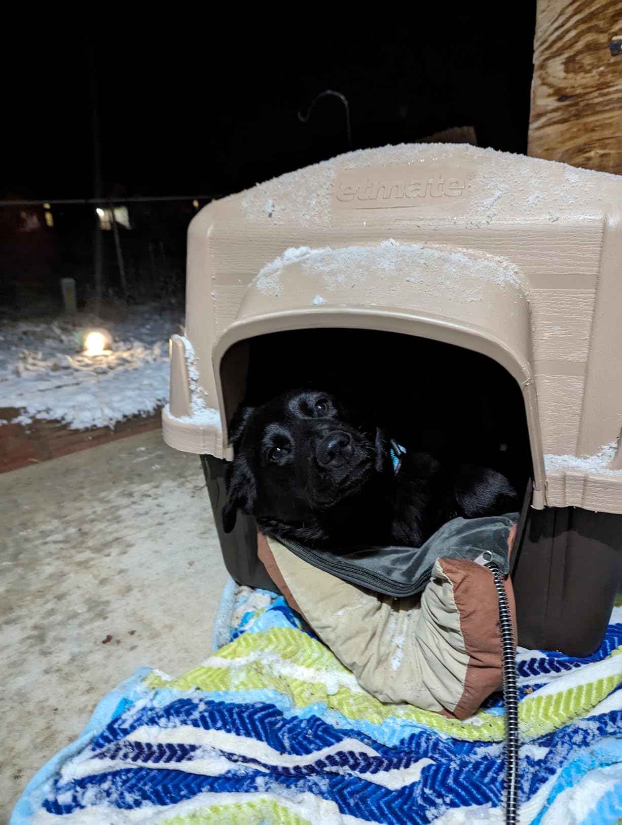 PETNF Outdoor Heated Pet Bed with Waterproof Cover,Pet Heating Pads for Dog,Soft Electric Blanket Auto Temperature Control,Heating Mat for Dog House Cabin Cot Doorway, XL customer photo 2