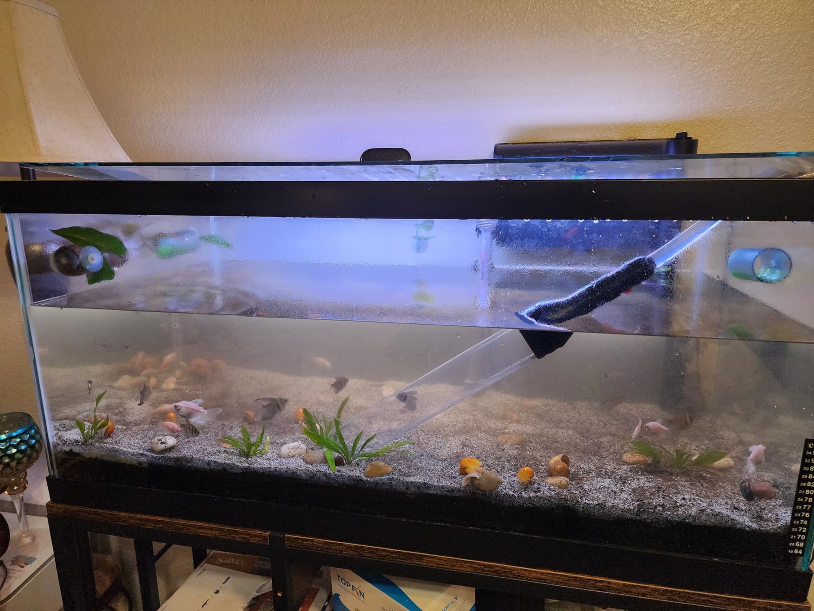 enomol Gravel Vacuum for Aquarium Water Changer Fish Tank Cleaning Tools,Siphon Universal Quick Pump Aquarium Water Changing (30ft) customer photo 2
