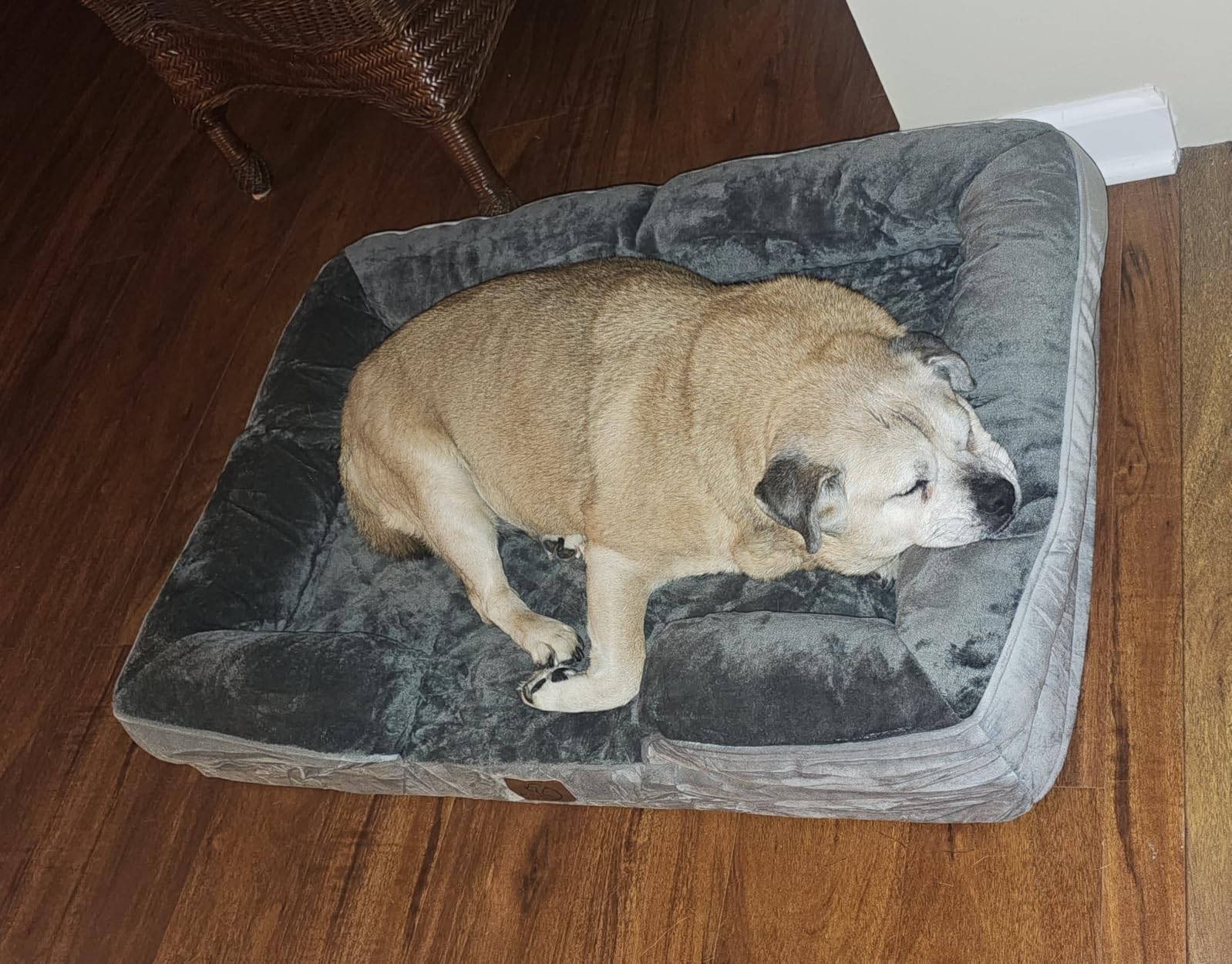 Bedsure Orthopedic XXL Dog Bed Extra Large Washable Original Design customer photo 1
