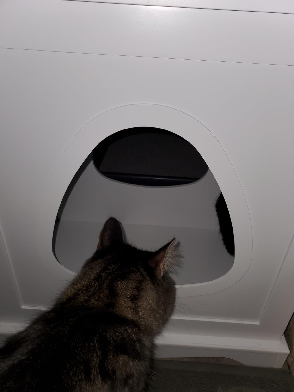 Yaheetech Cat Litter Box Enclosure, Hidden Litter Box Furniture with 7 Air Vents, Dog Proof Wooden Side Table for Small Indoor Cats & Kittens, Easy to Assemble, Espresso customer photo 1