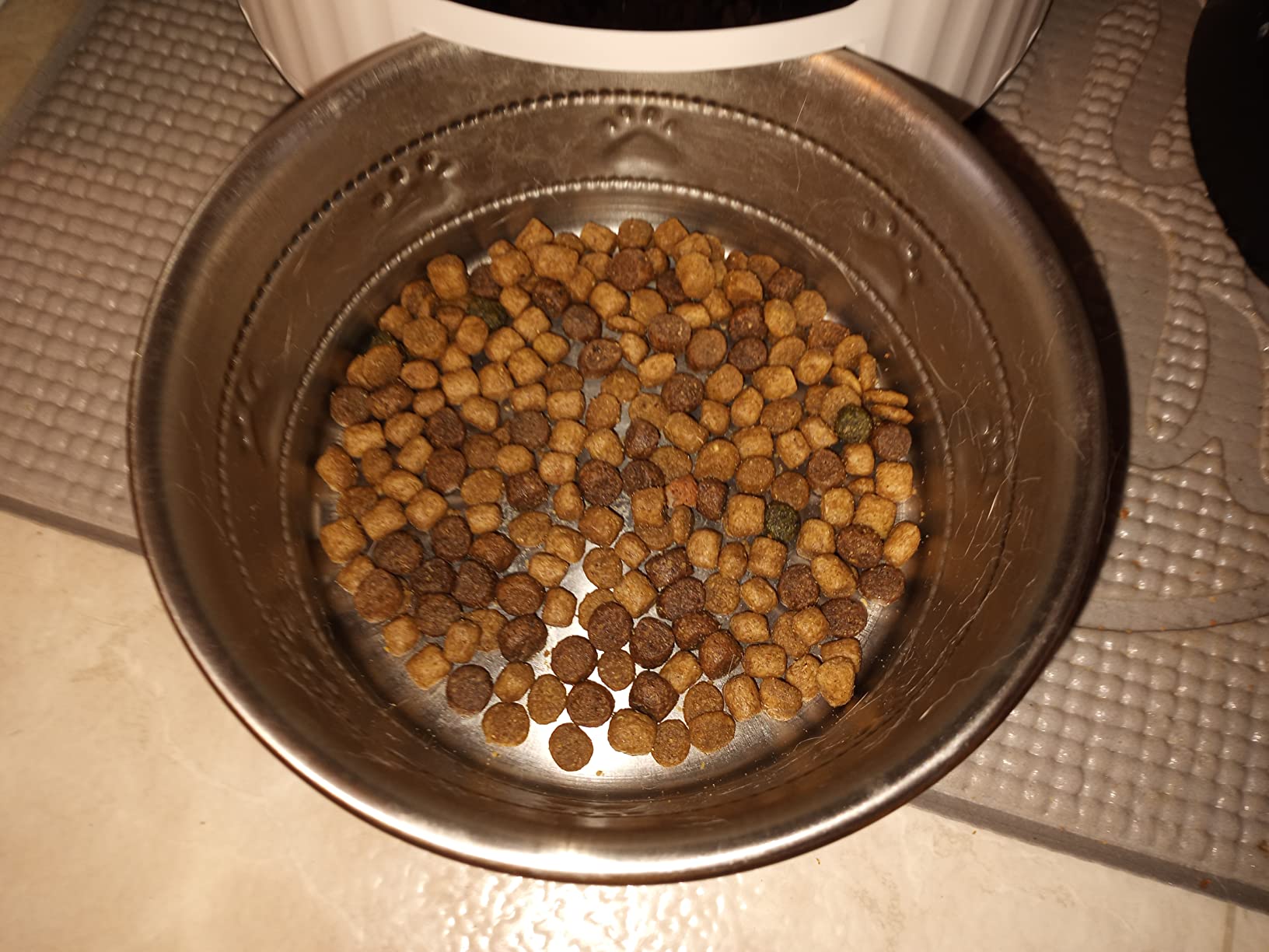 Petory Timed Automatic Cat Feeder - 4L Dry Food Dispenser for Cats and Dogs customer photo 2