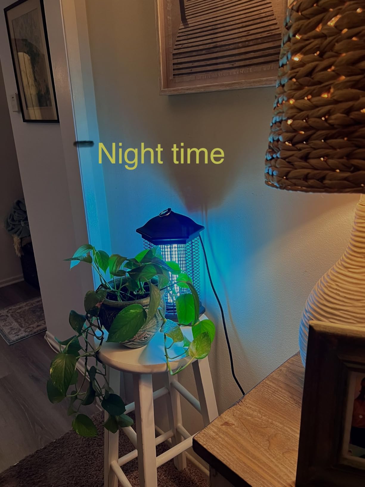 AMUFER Bug Zapper Outdoor & Indoor, 18W & 4400V, 1/2 Acre, 5.5-Ft Cord customer photo 1