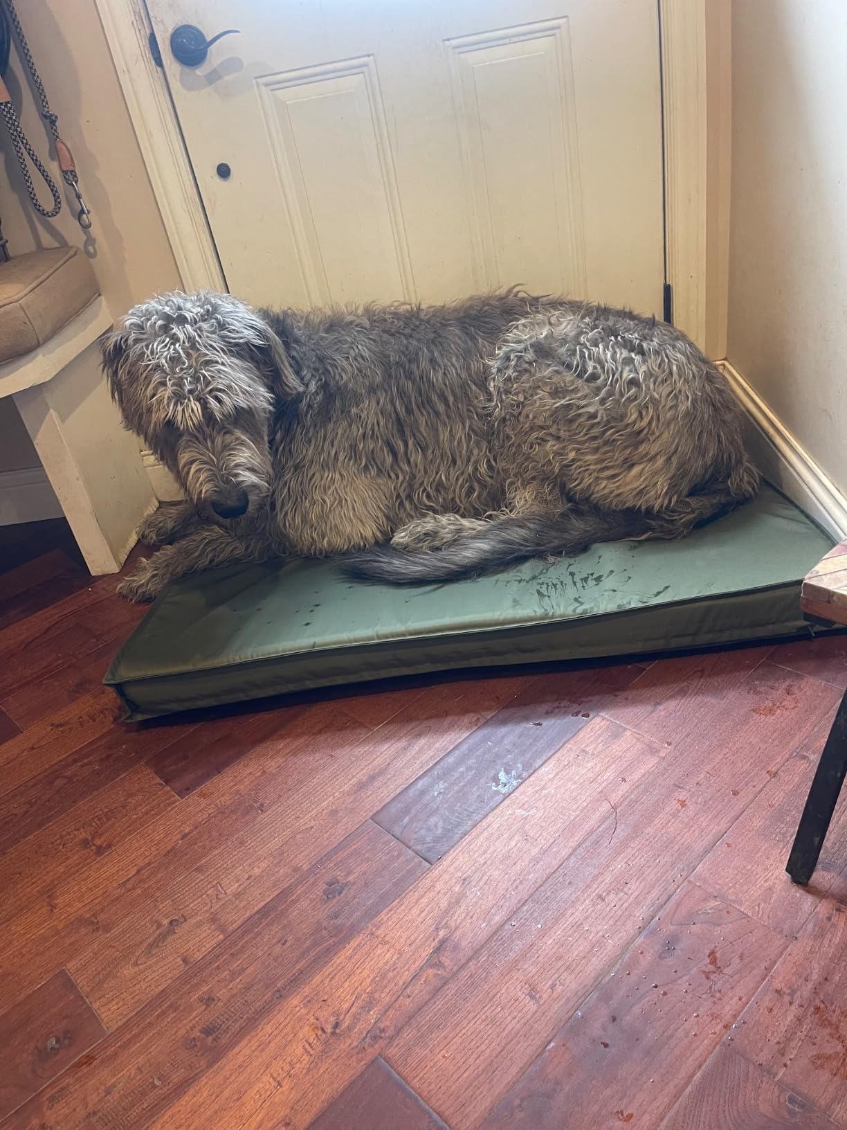 LE SURE Outdoor Waterproof Dog Beds Large Sized,Orthopedic Pet Mat,36x27In customer photo 2