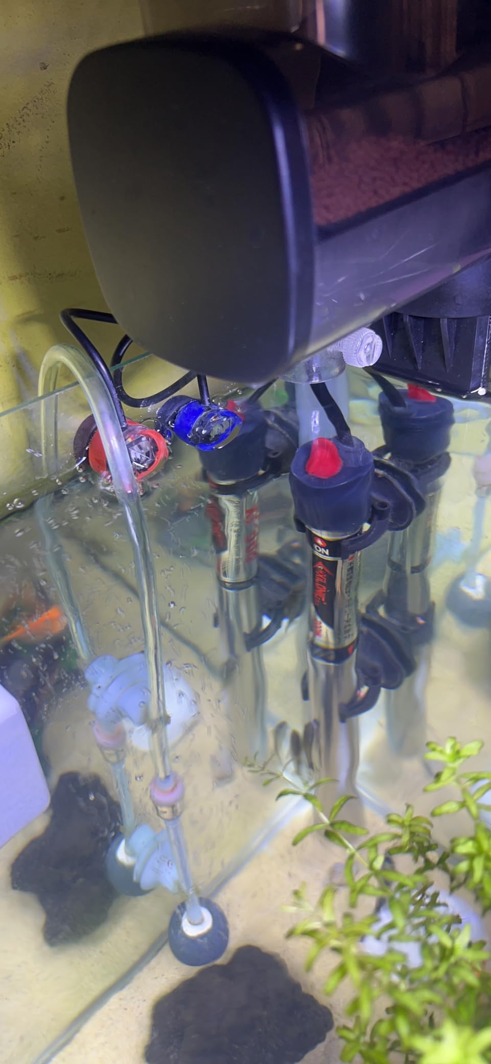Kamoer New ATO One 2 SE Smart Auto Top Off System Silent Water Replenisher customer photo 2