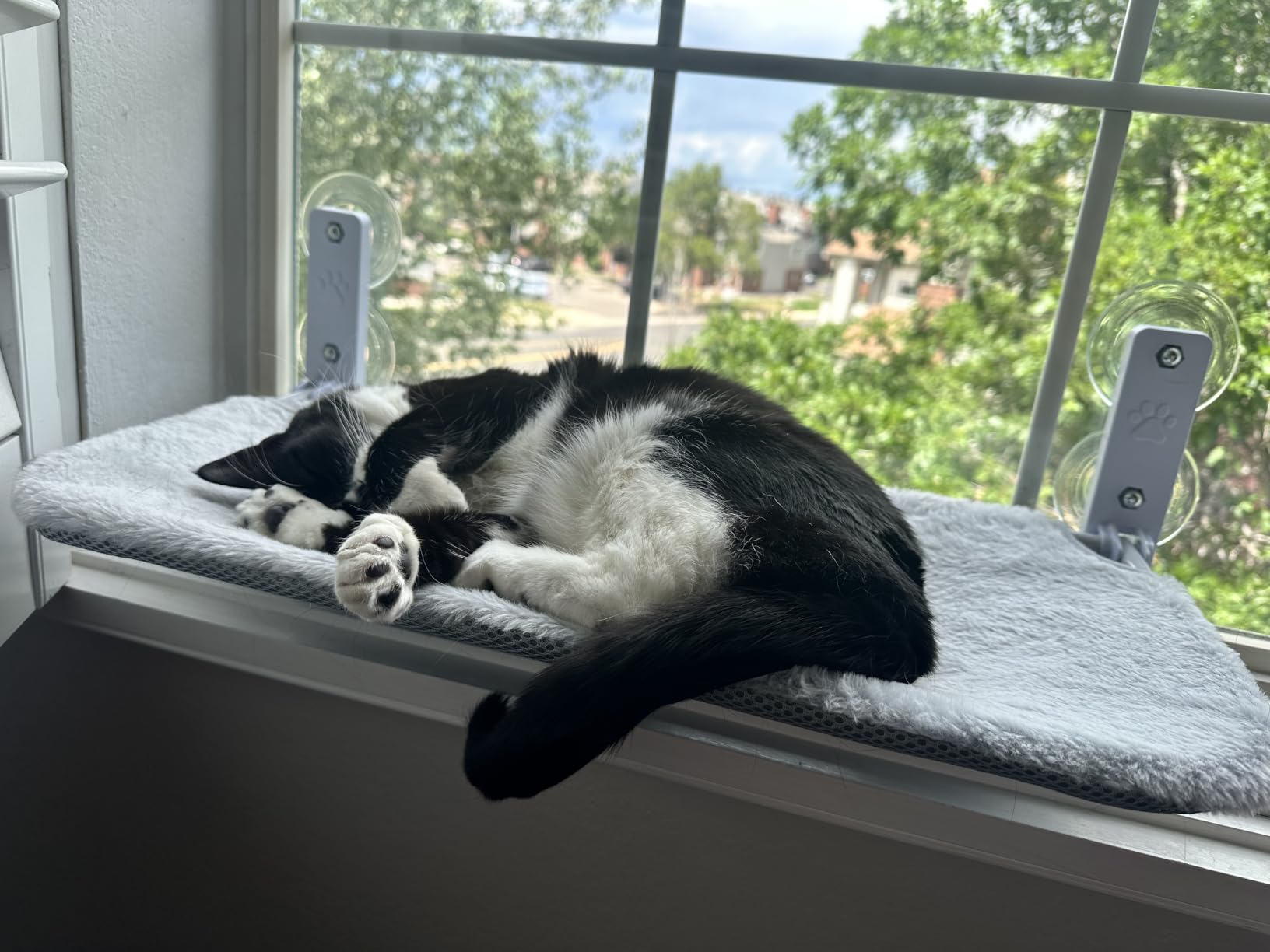 AMOSIJOY Foldable Cat Window Perch with Metal Frame, L Gray customer photo 2