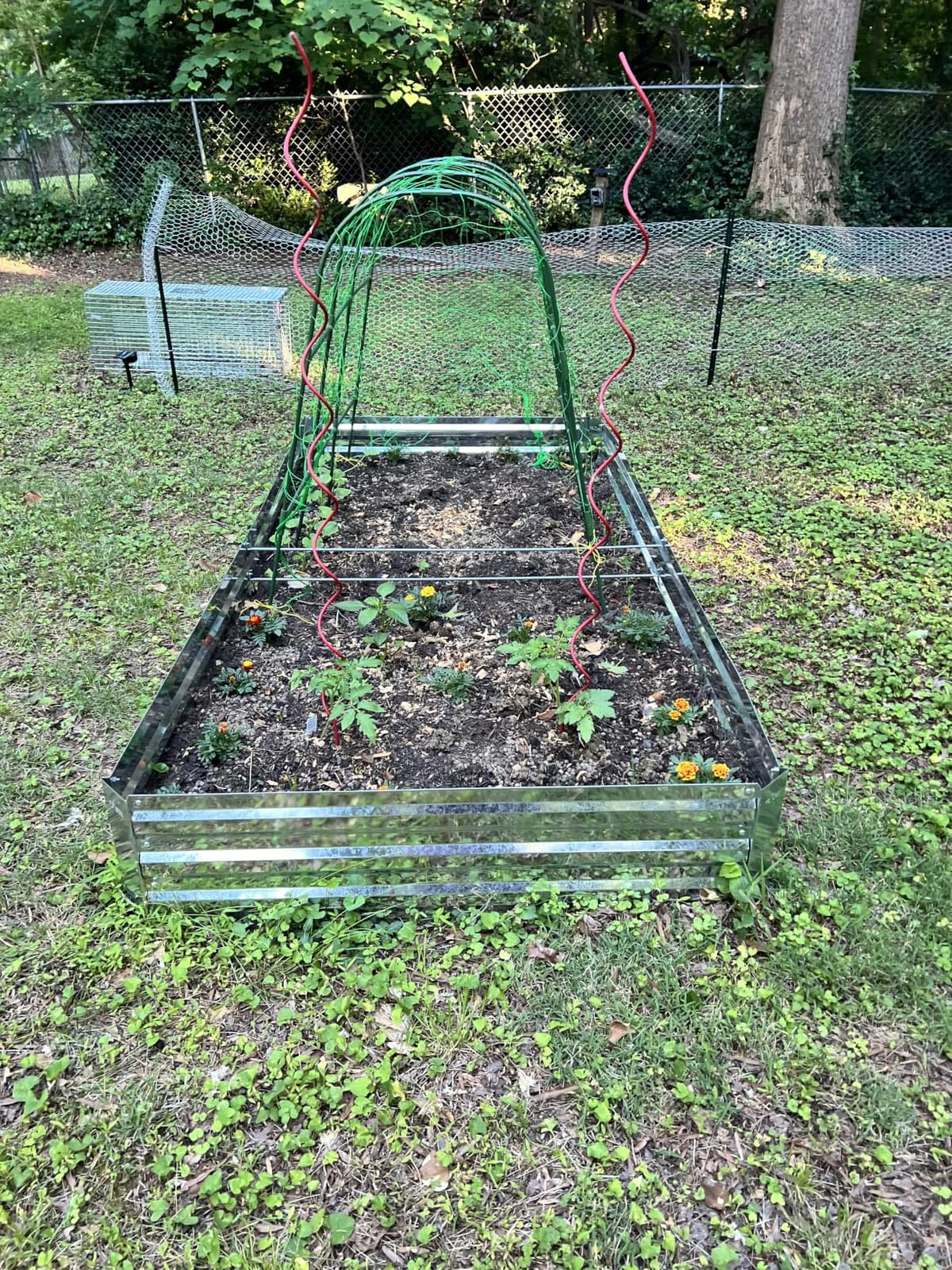 2-Pack Galvanized Raised Garden Bed 8x4x1ft customer photo 2
