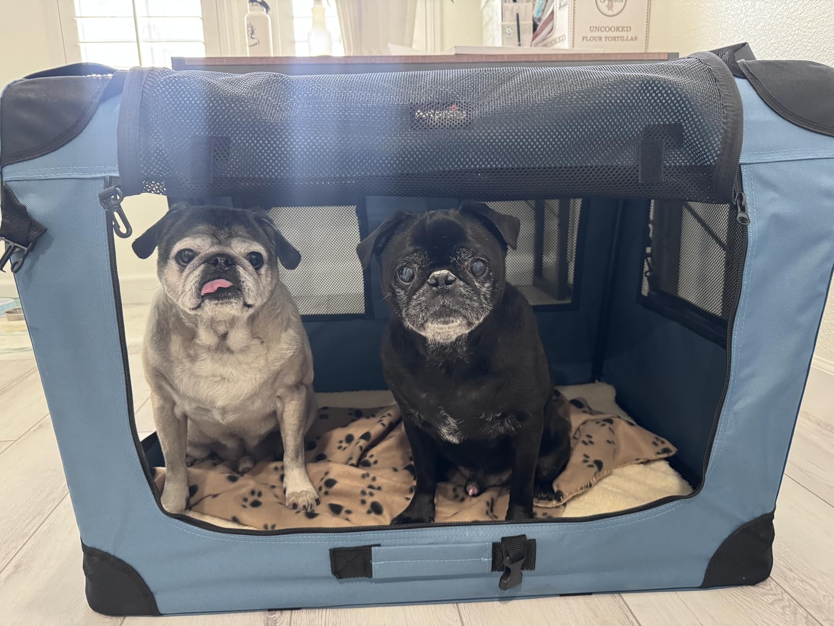 Petprsco Portable Dog Crates for Medium Dogs, 32