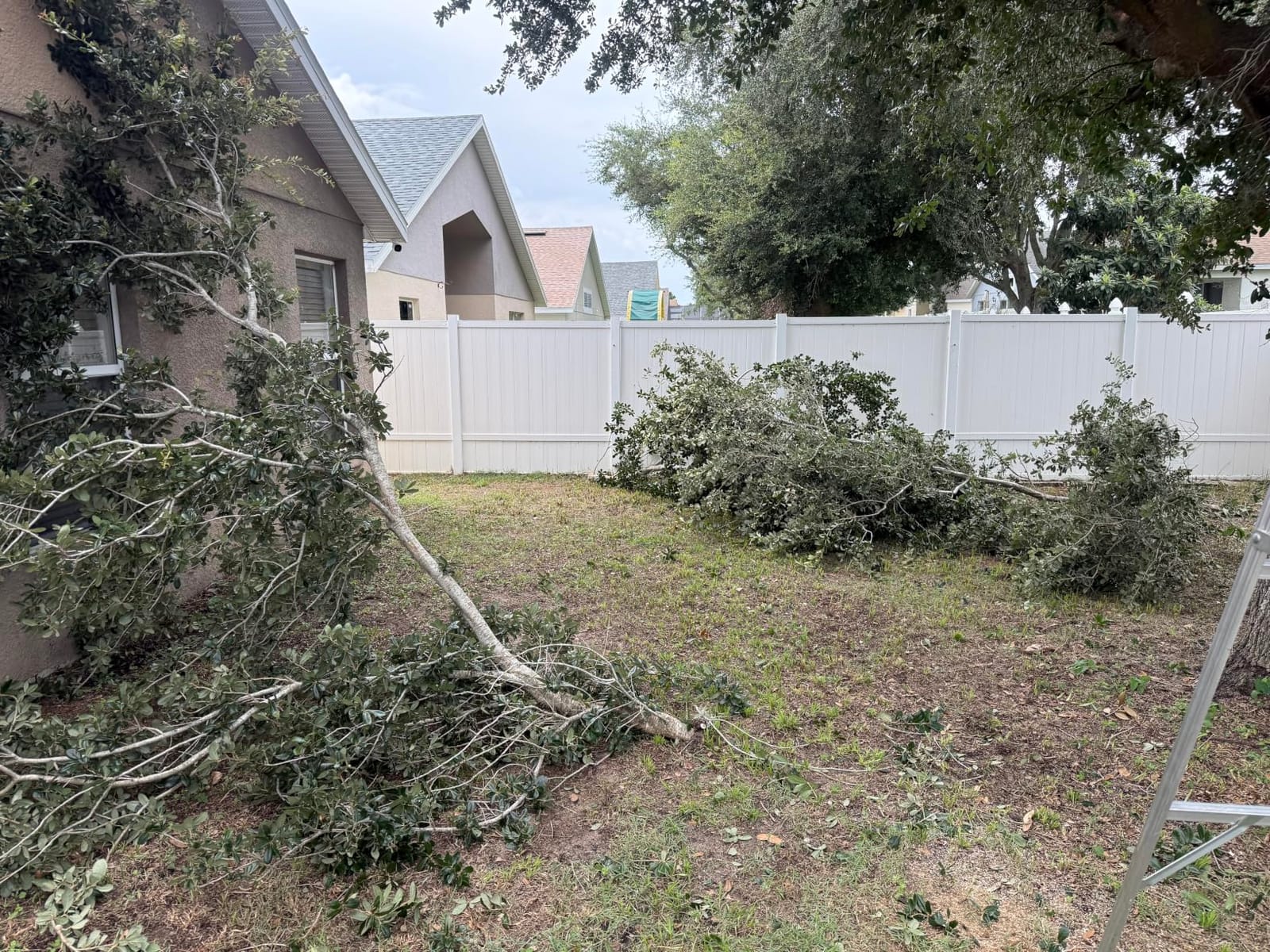 14FT Pole Saw for Tree Trimming 2-in-1 Hand Saw Steel Blade Extension Pole customer photo 2