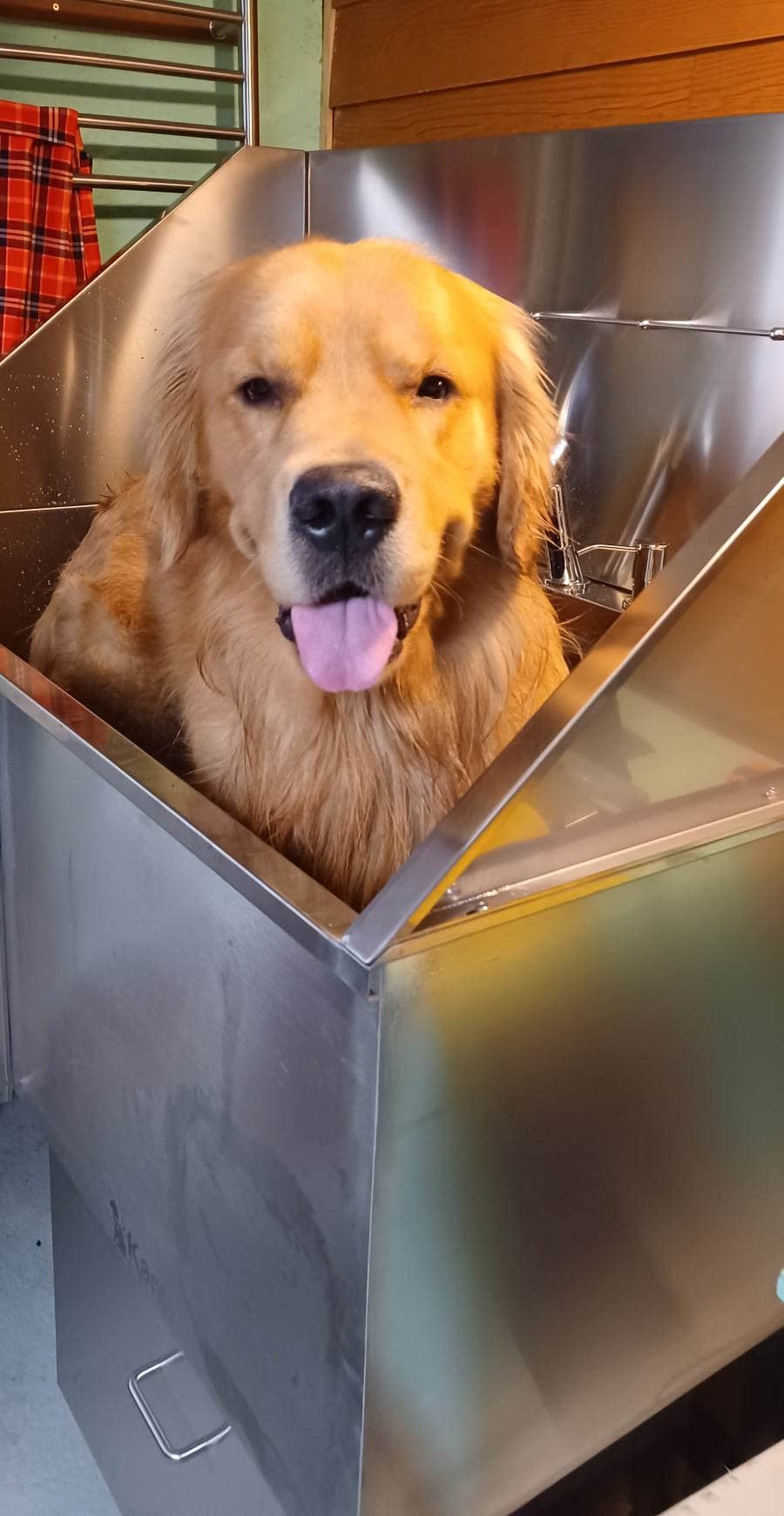 KANIS Professional Dog Washing Station 304 Stainless Steel Pet Wash Sink customer photo 1