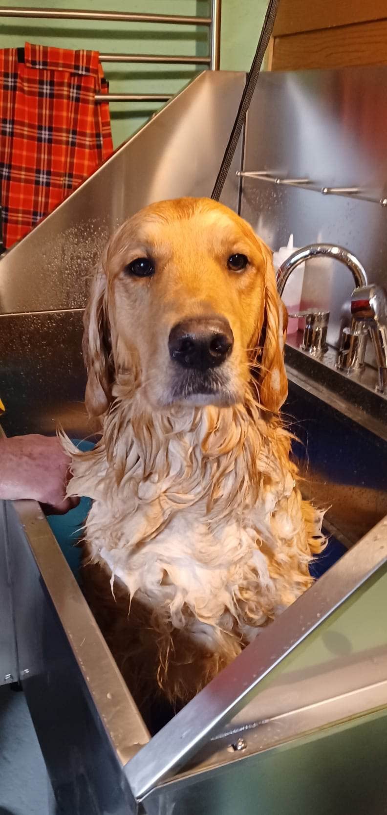 KANIS Professional Dog Washing Station 304 Stainless Steel Pet Wash Sink customer photo 2